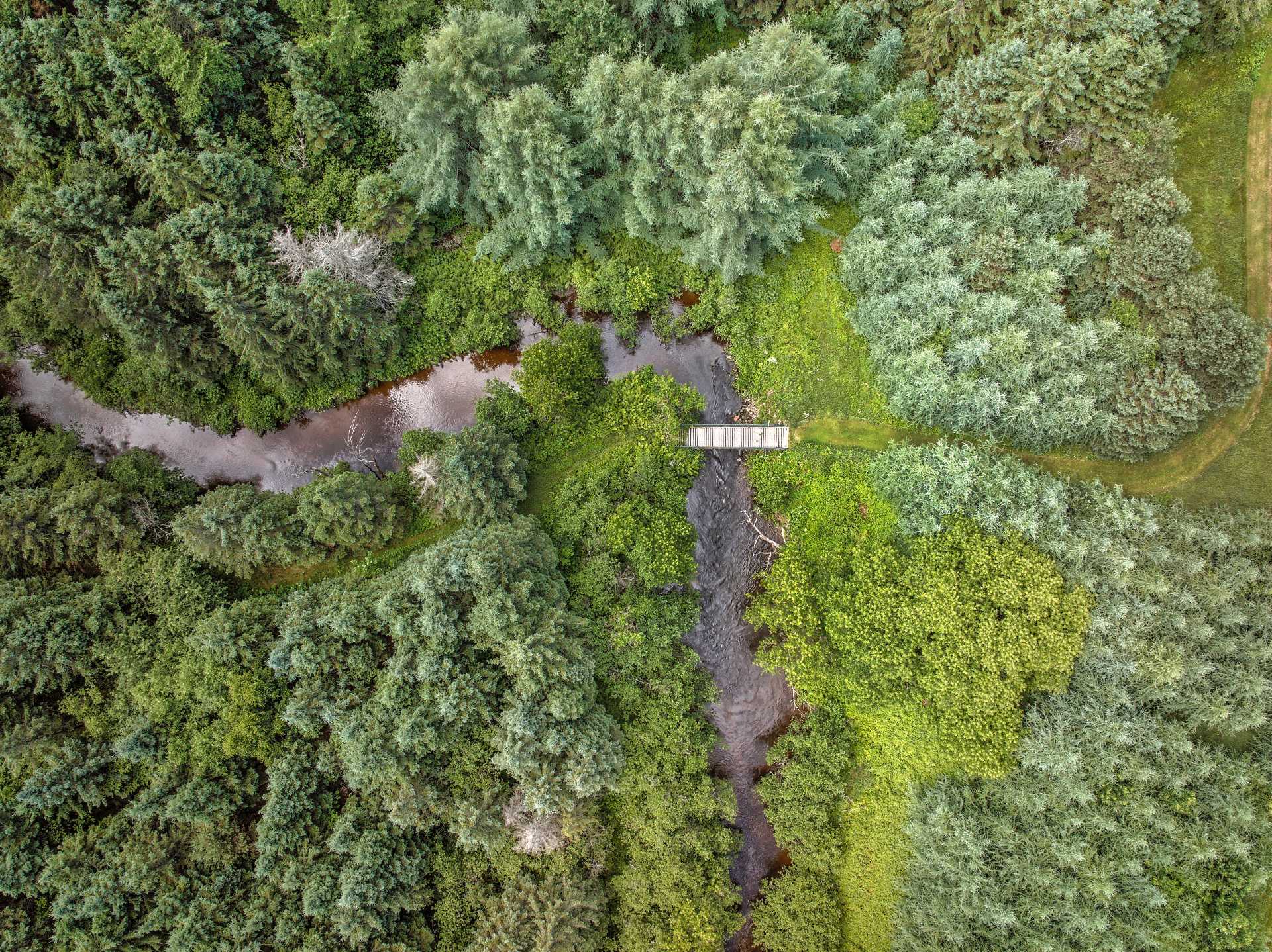 Aerial photo