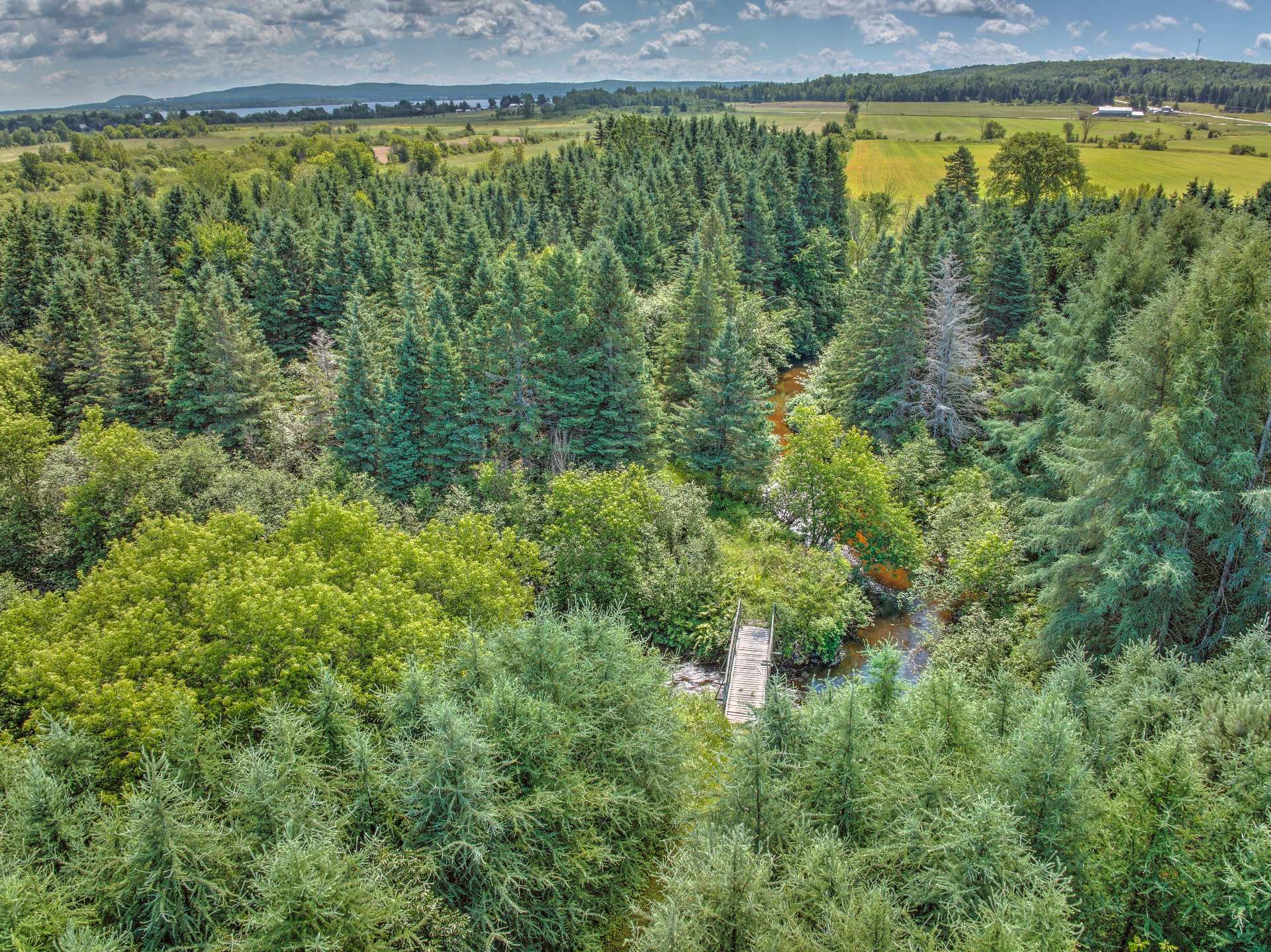 Aerial photo