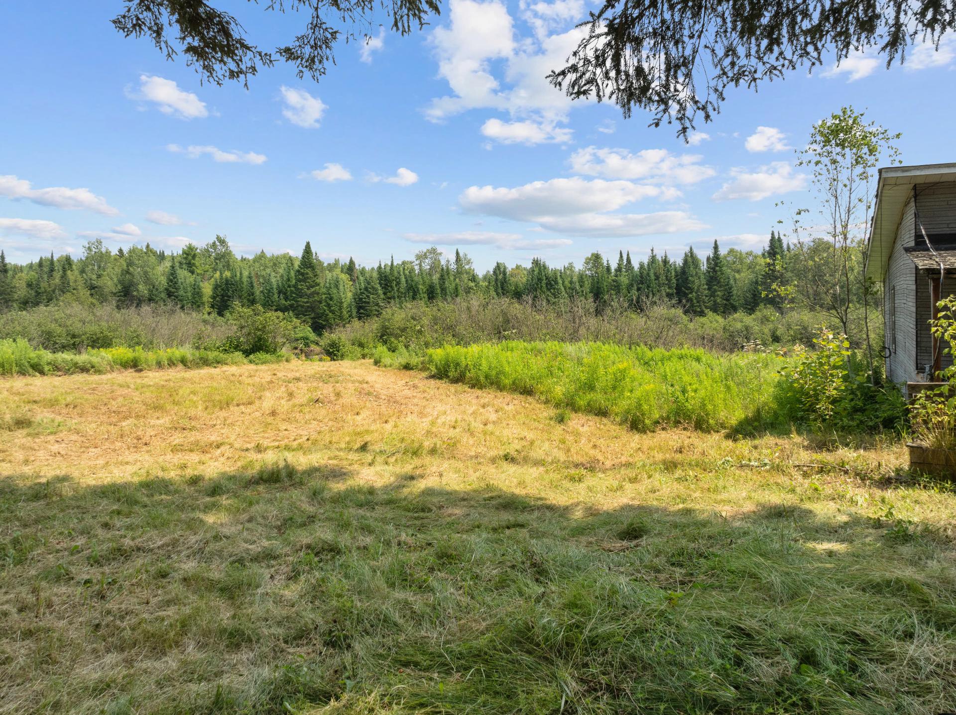 Terre/Terrain
