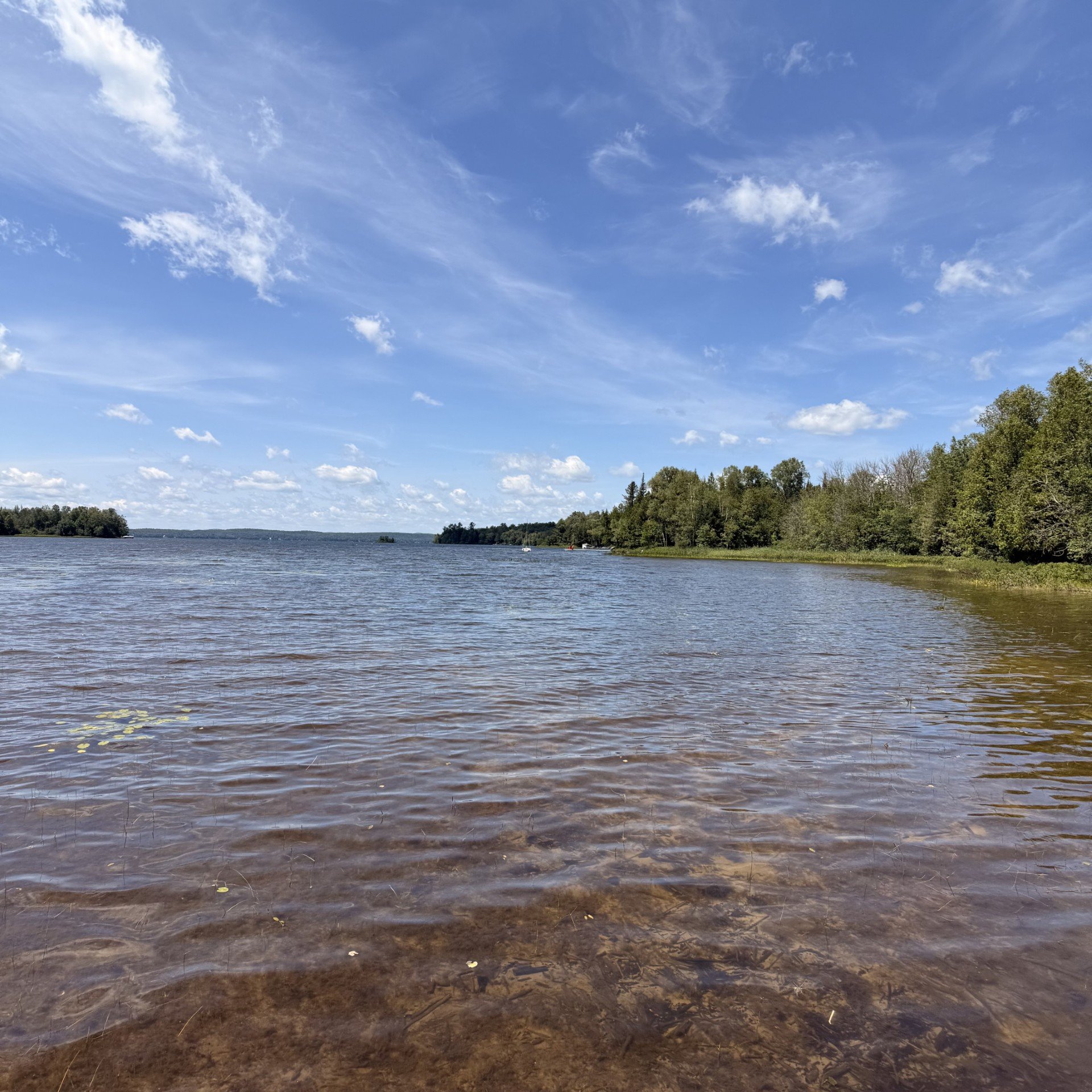 Bord de l'eau