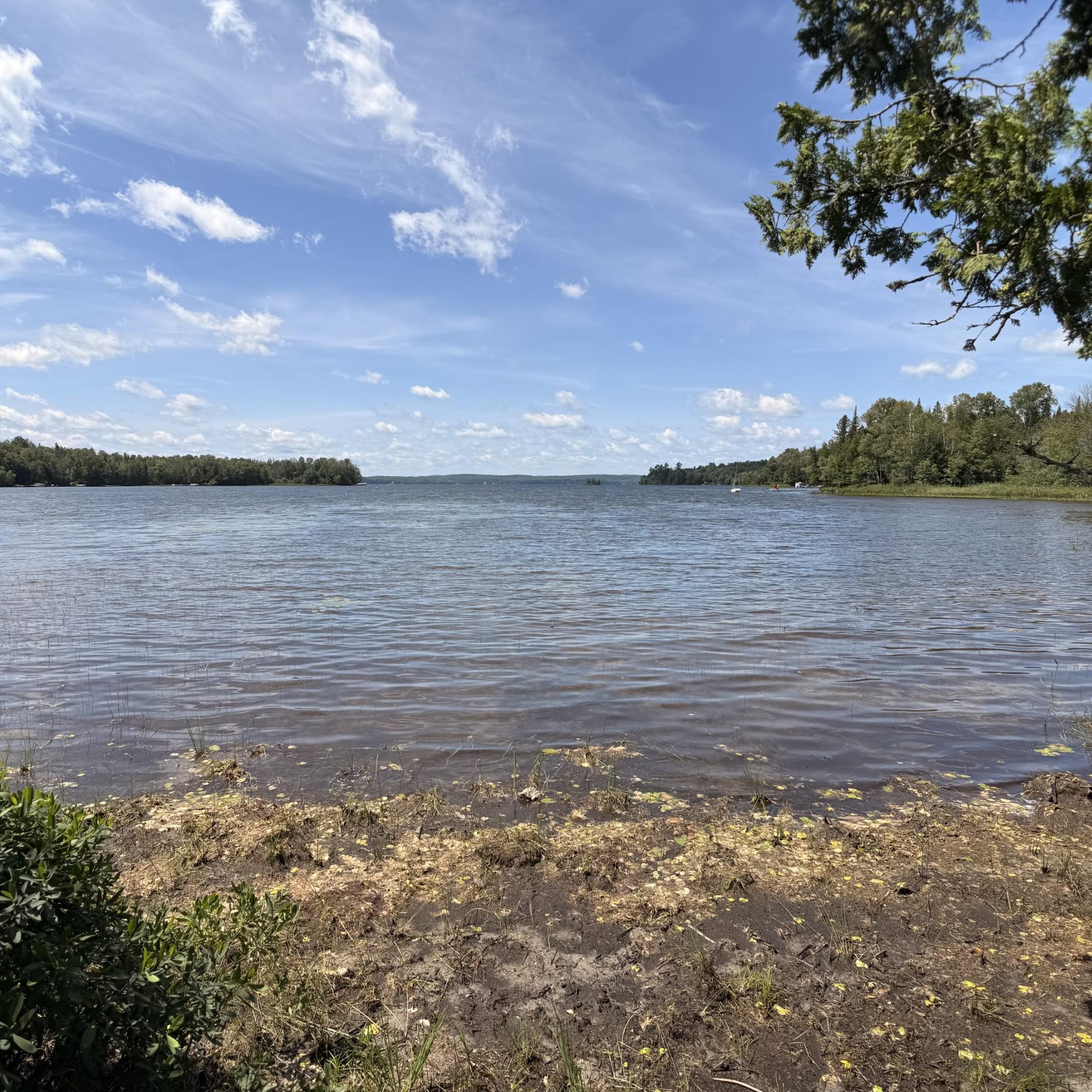 Bord de l'eau