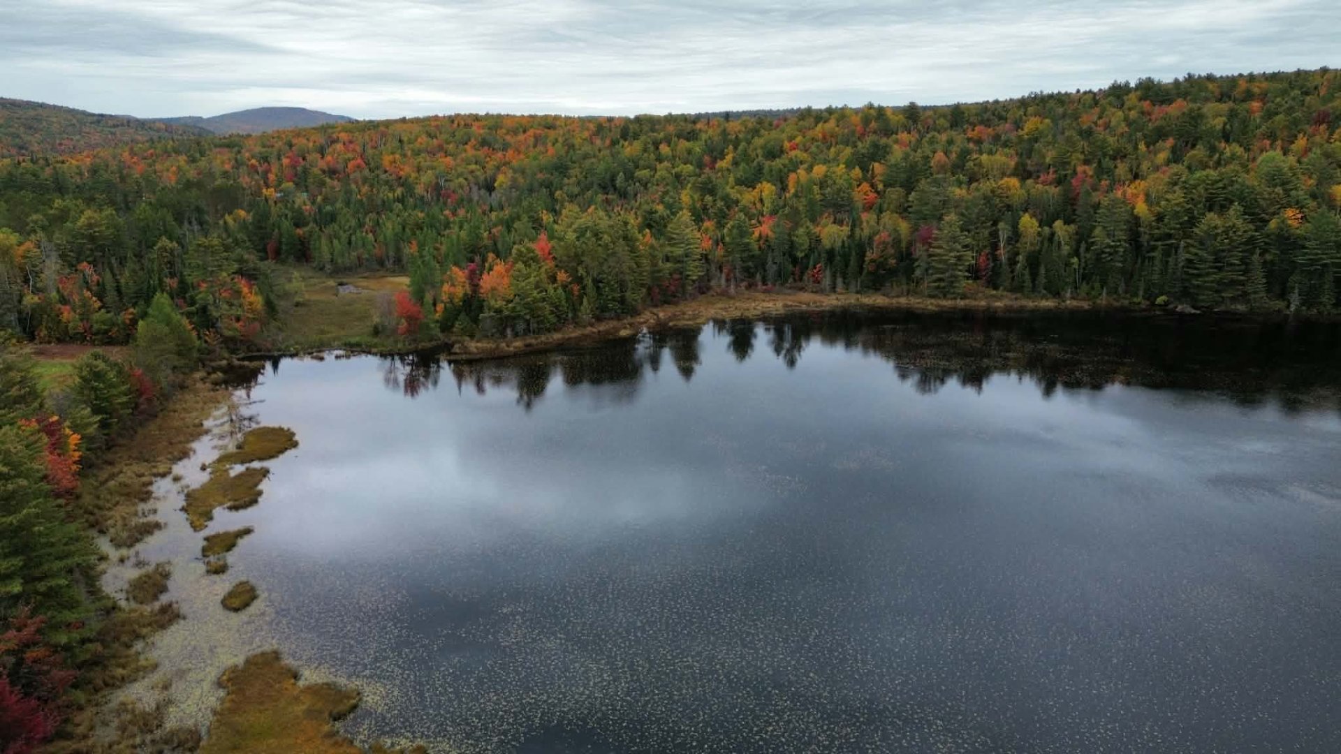 Vue sur l'eau