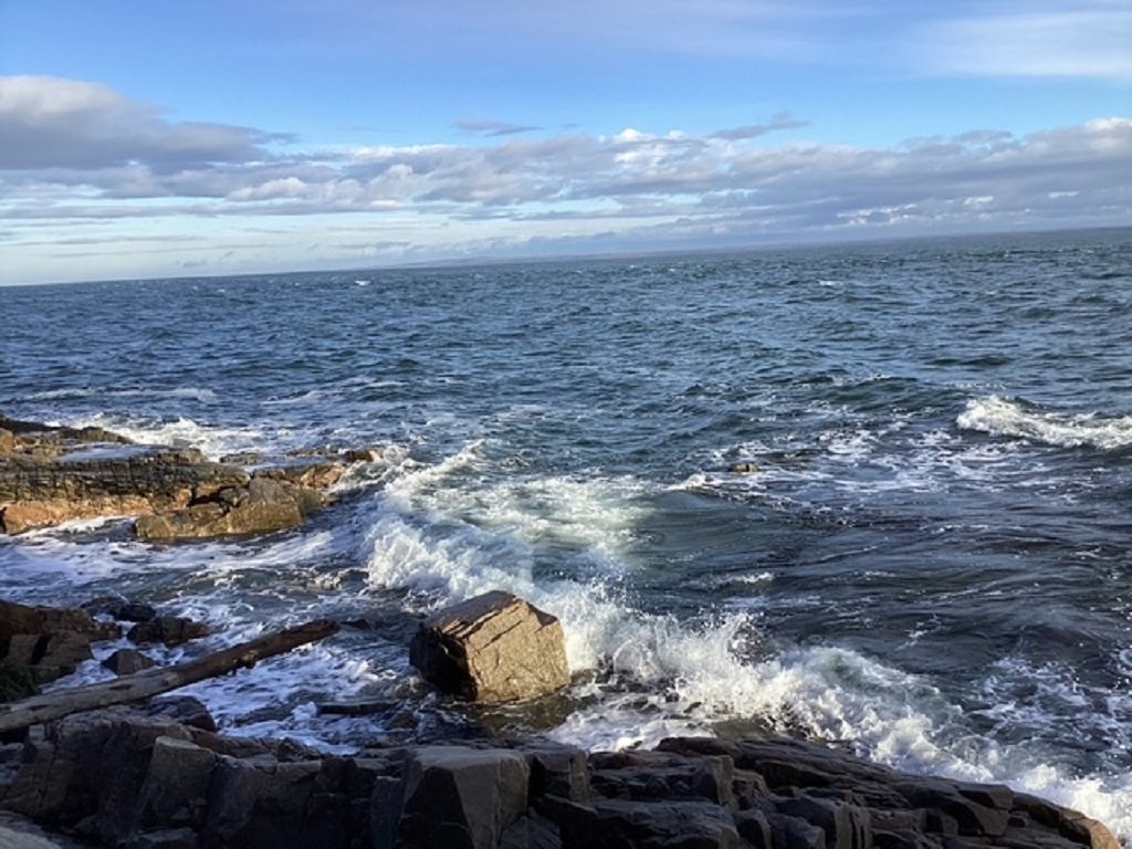 Bord de l'eau