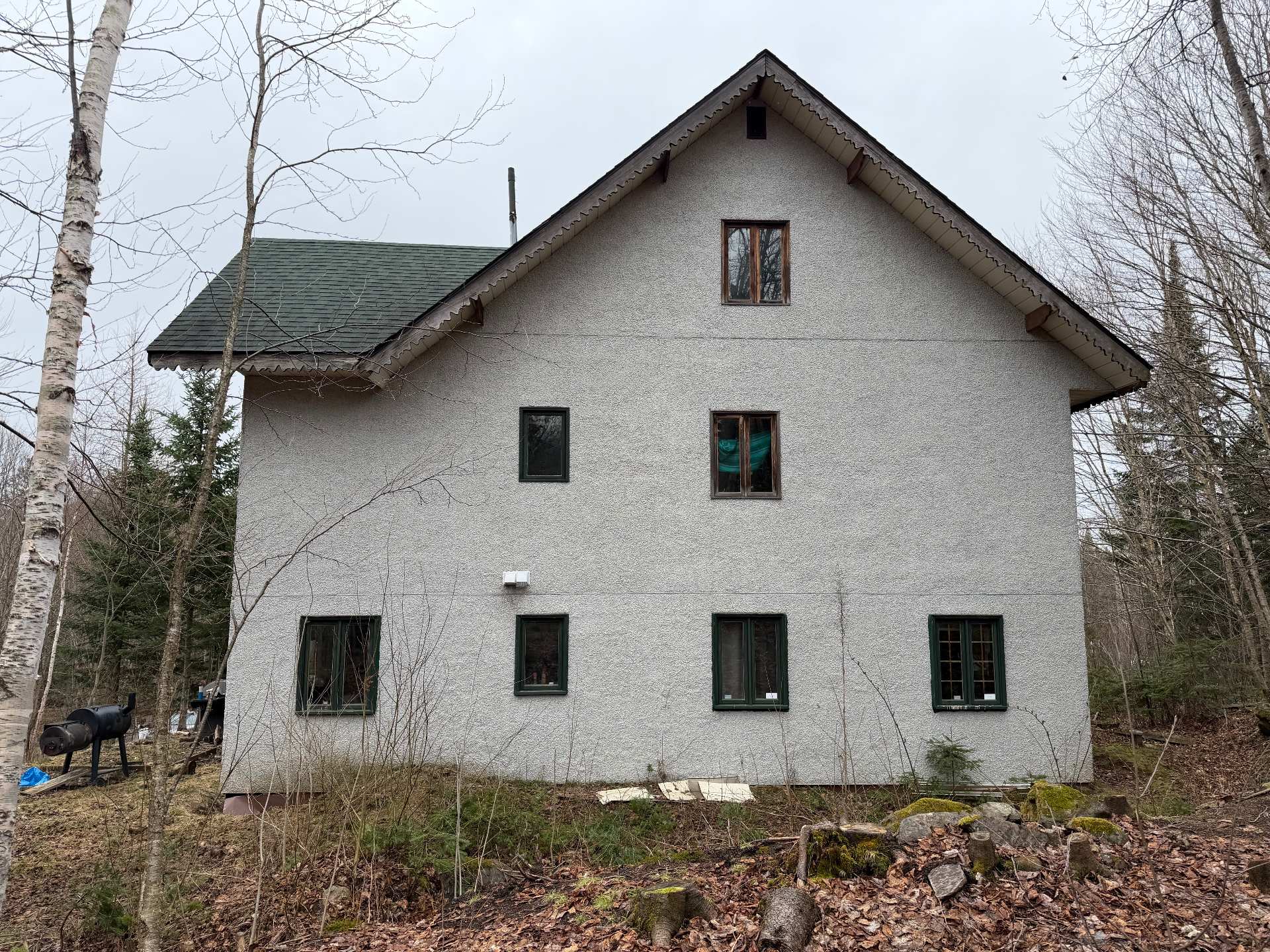 Back facade