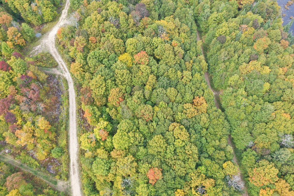 Land/Lot