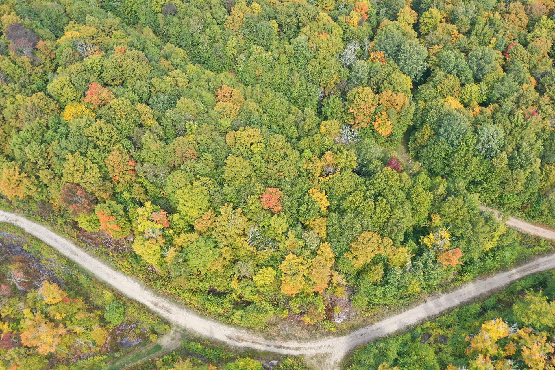 Land/Lot