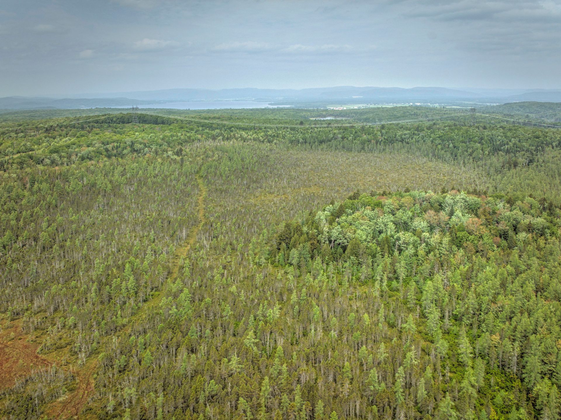 Aerial photo