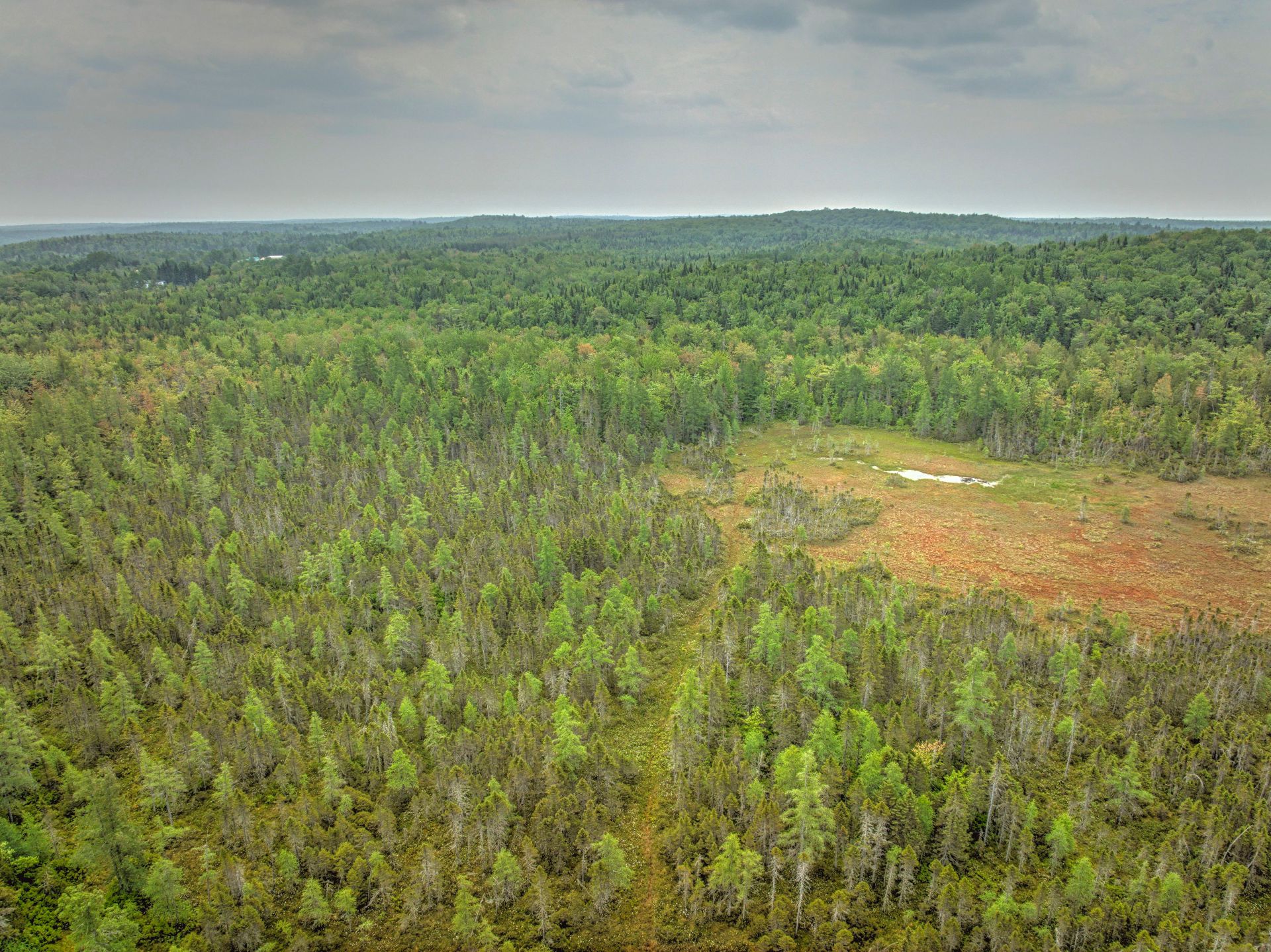 Aerial photo