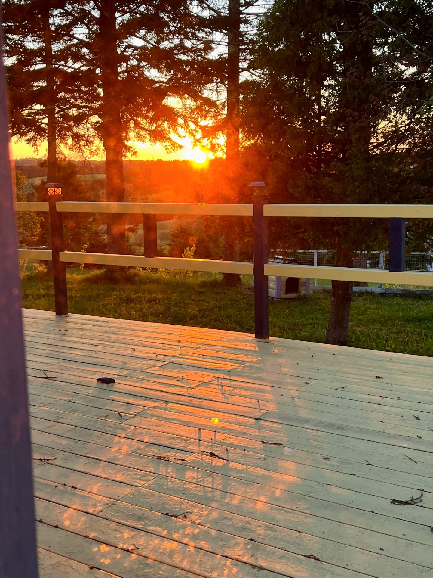View