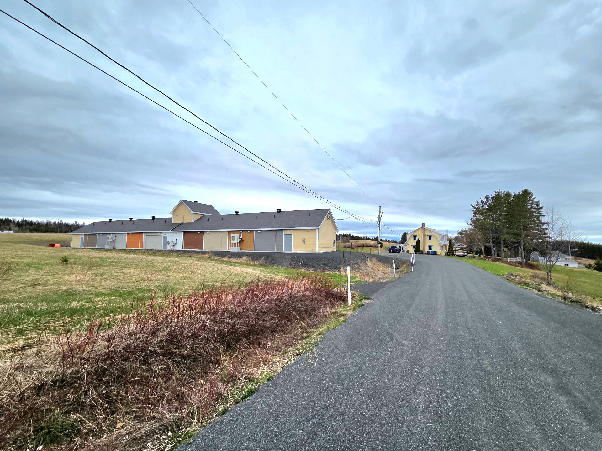 Overall View