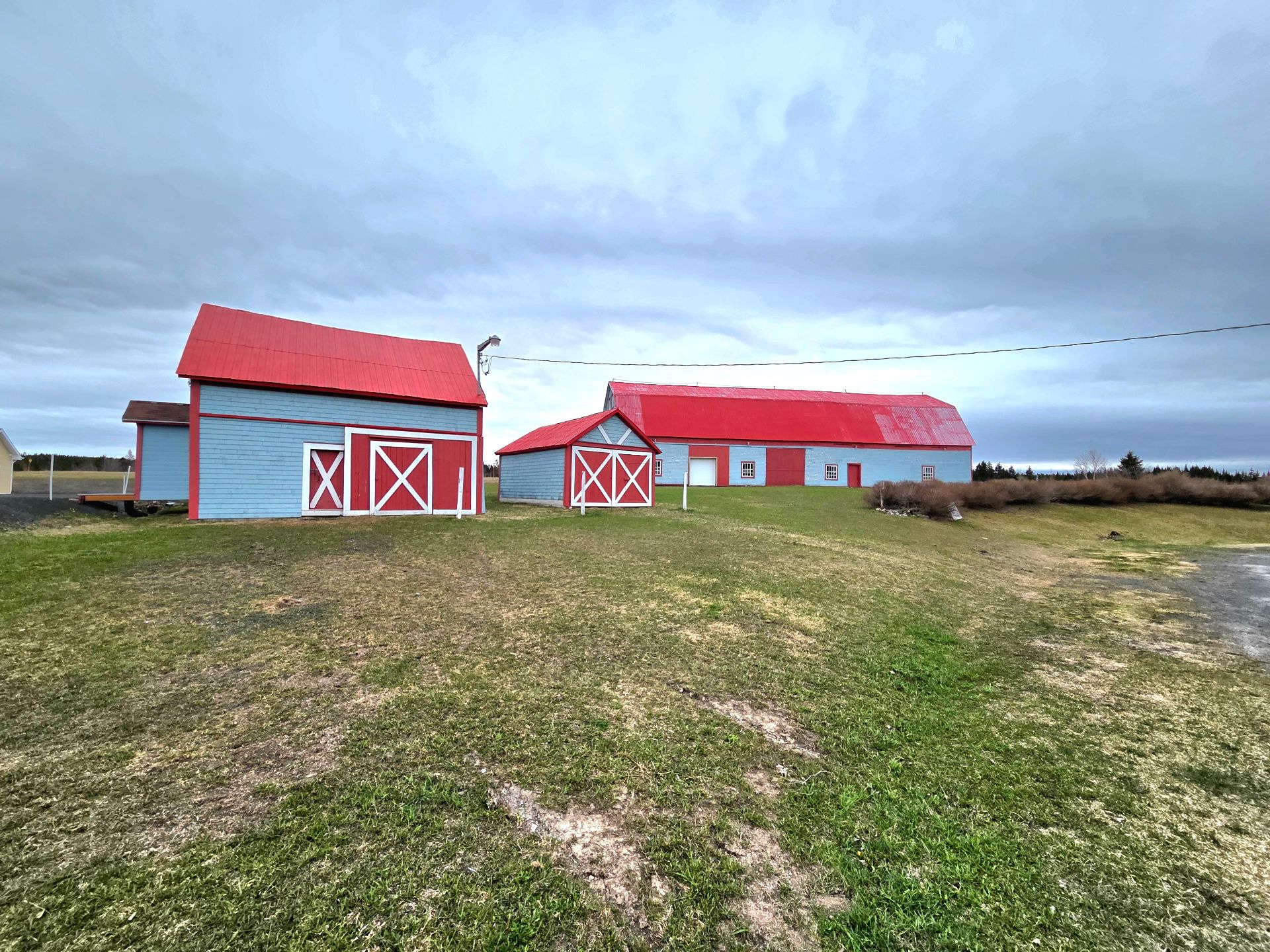 Overall View