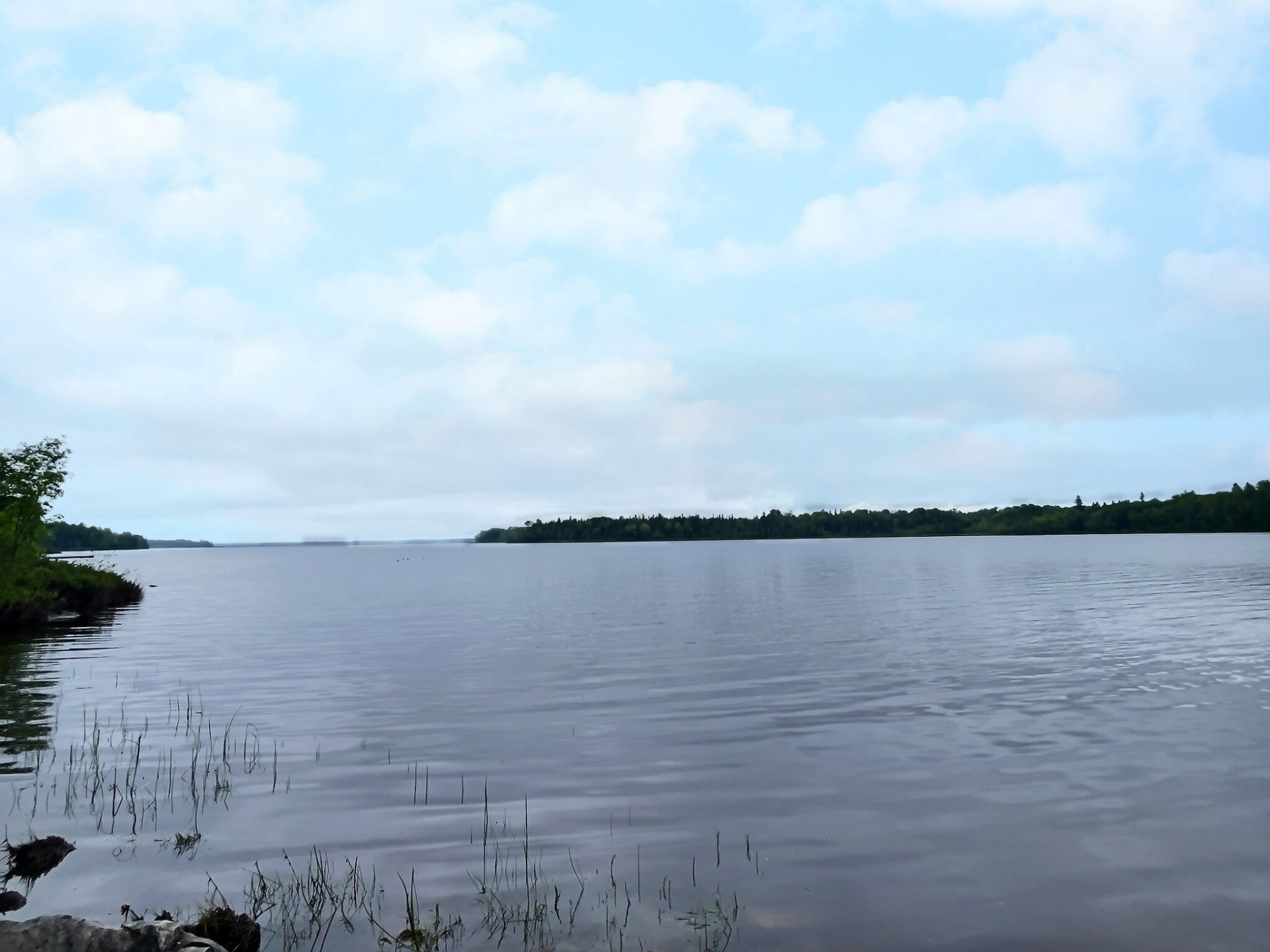 Bord de l'eau