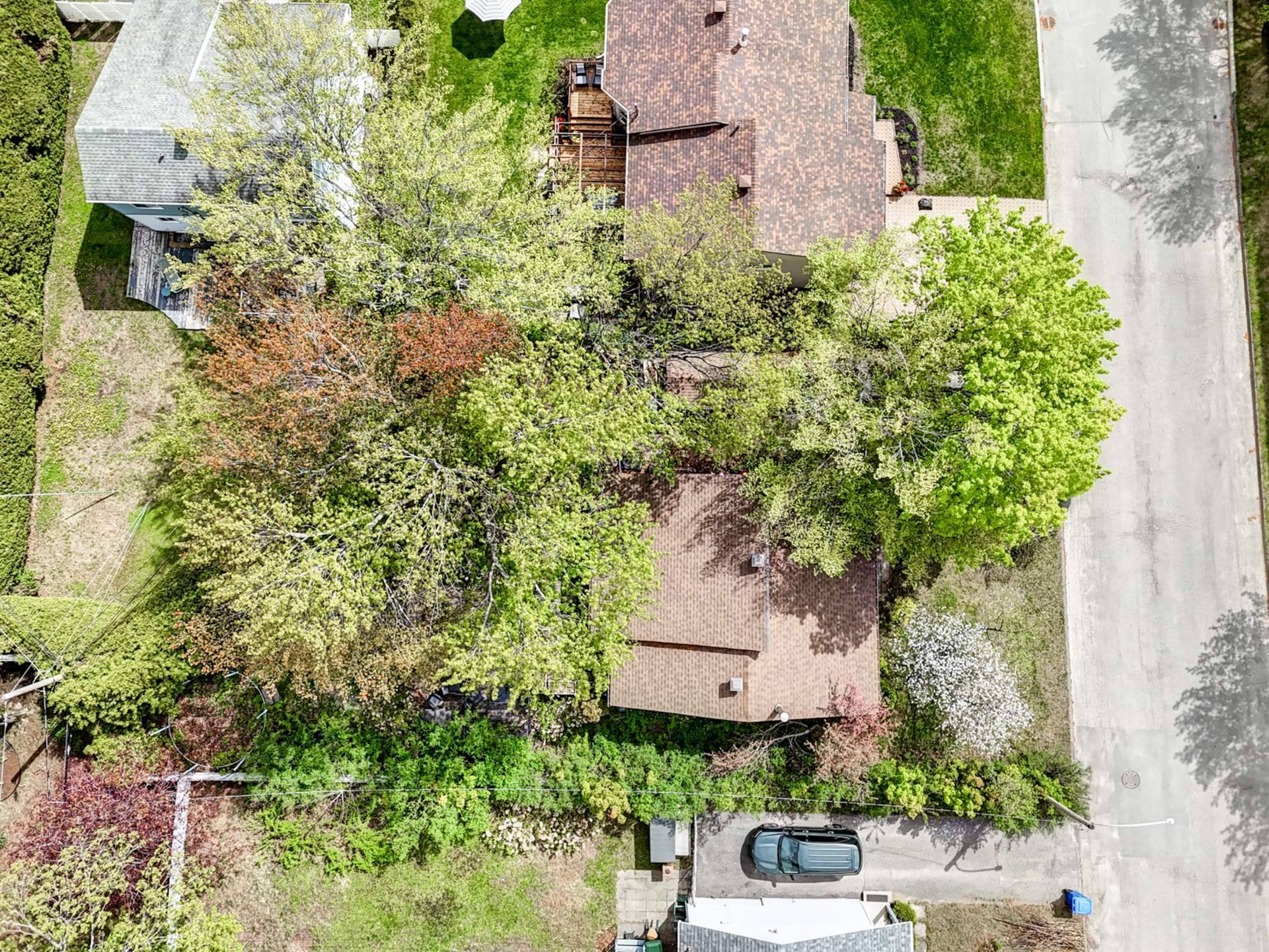 Aerial photo