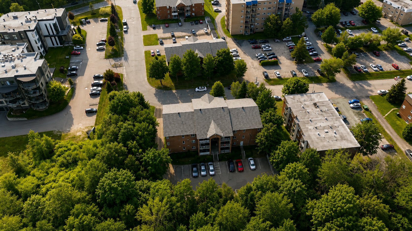 Overall View