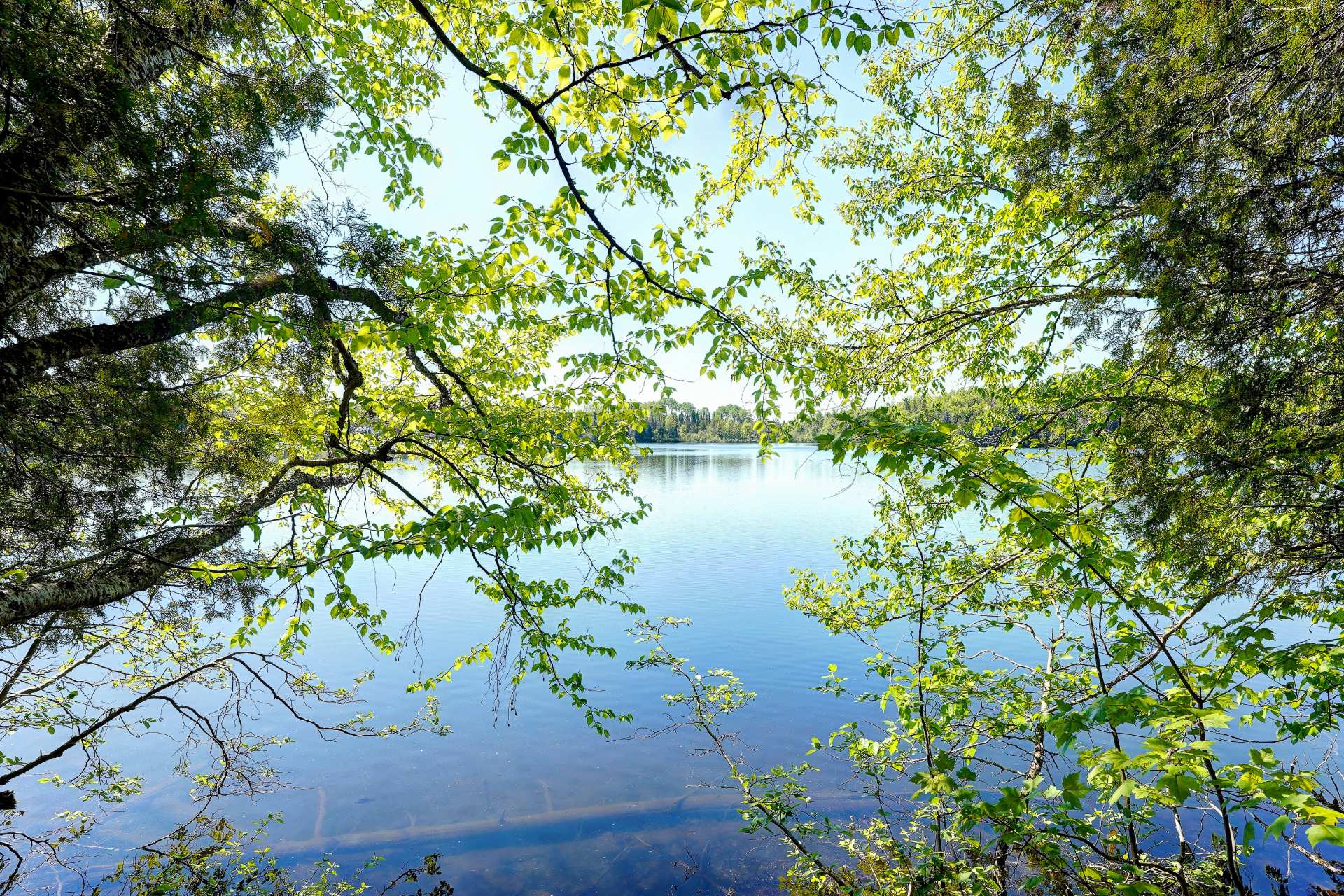 Vue sur l'eau