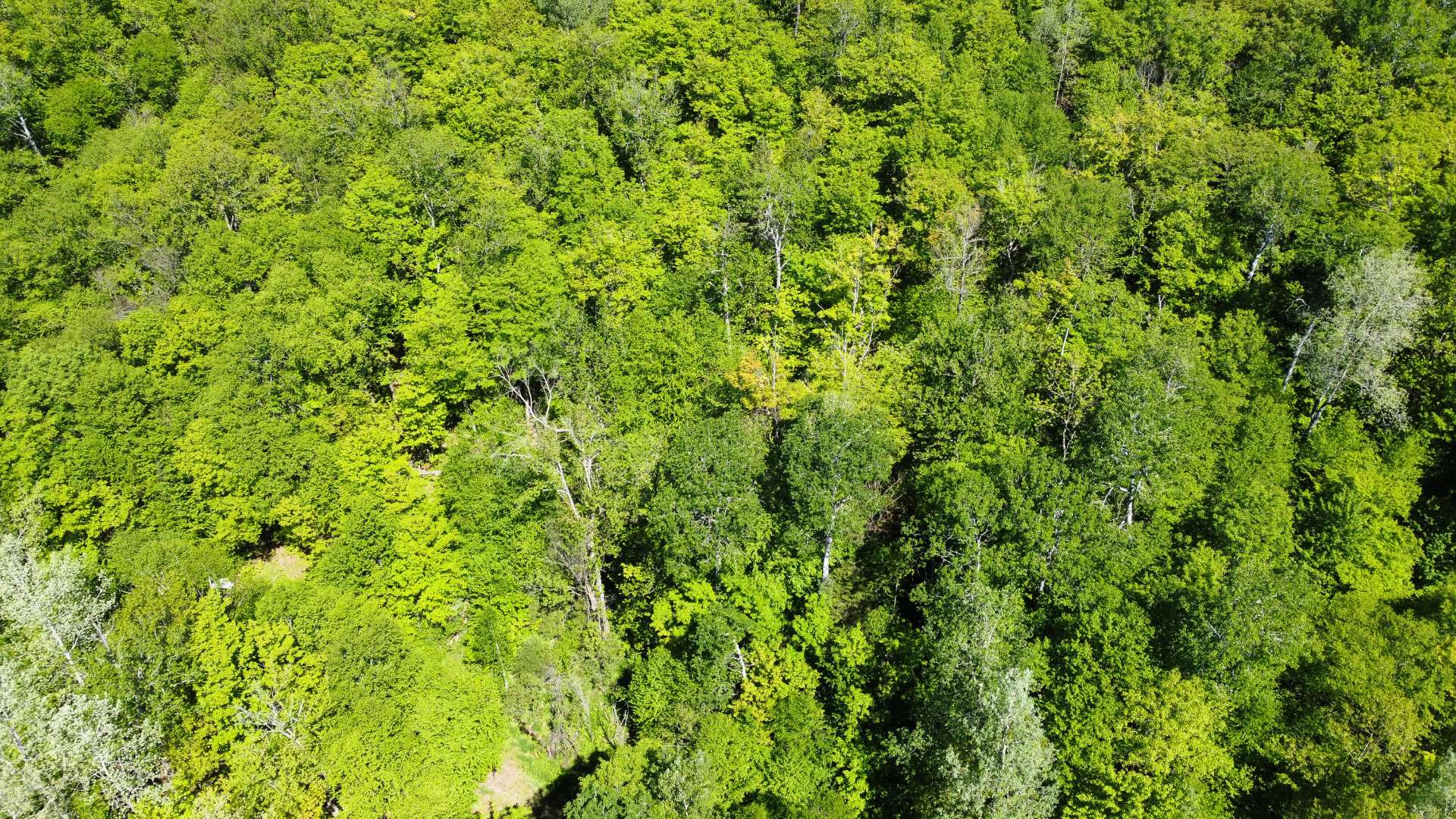 Vue d'ensemble