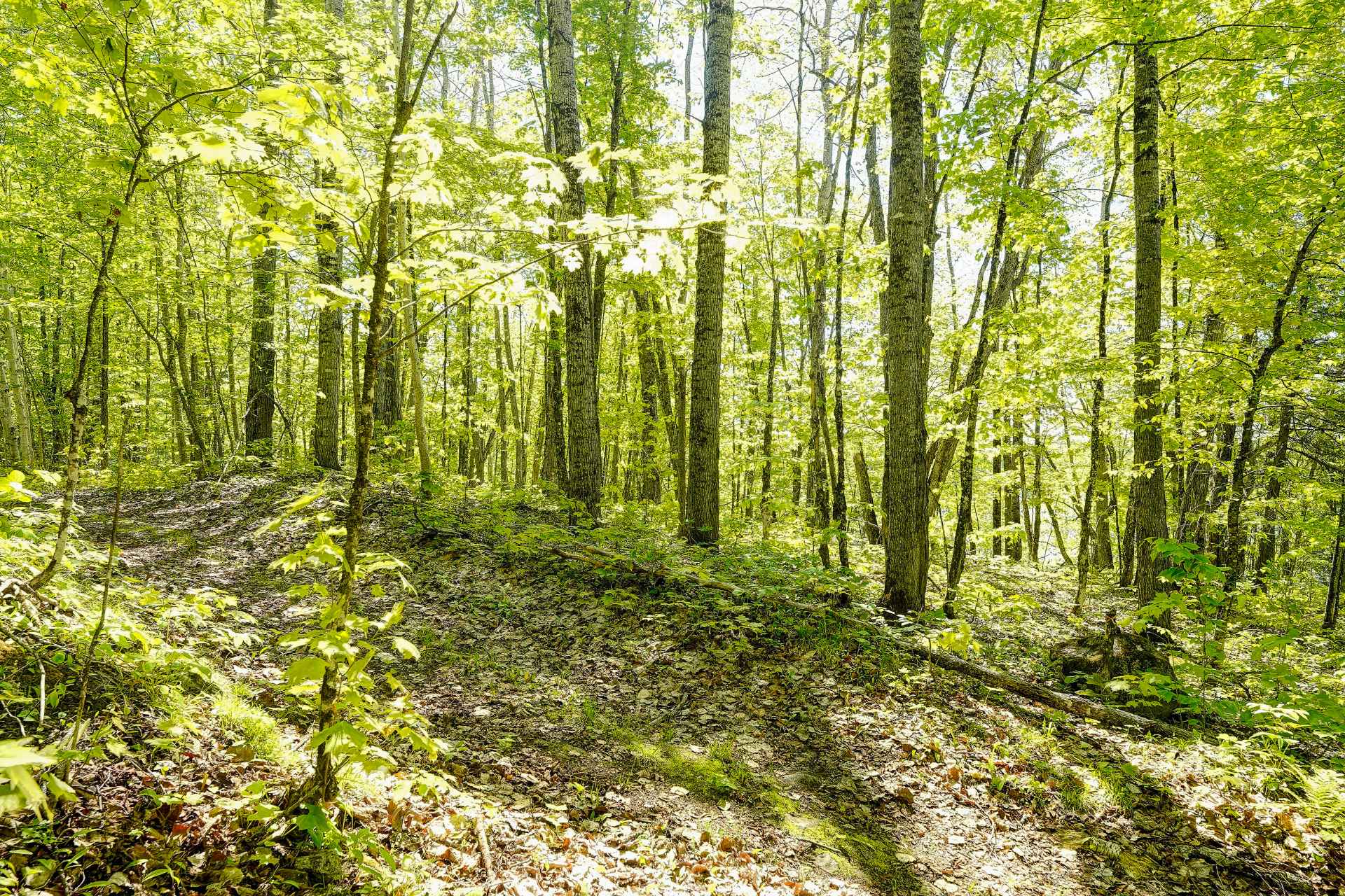 Terre/Terrain