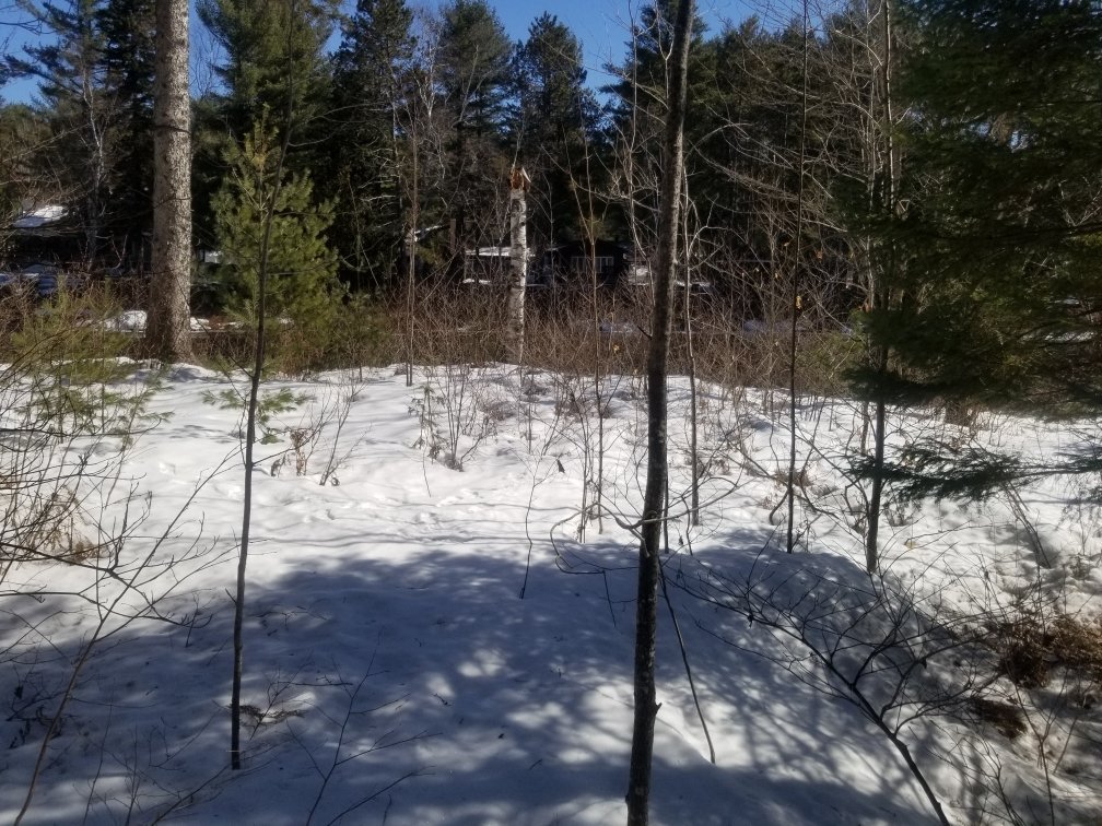 Terre/Terrain