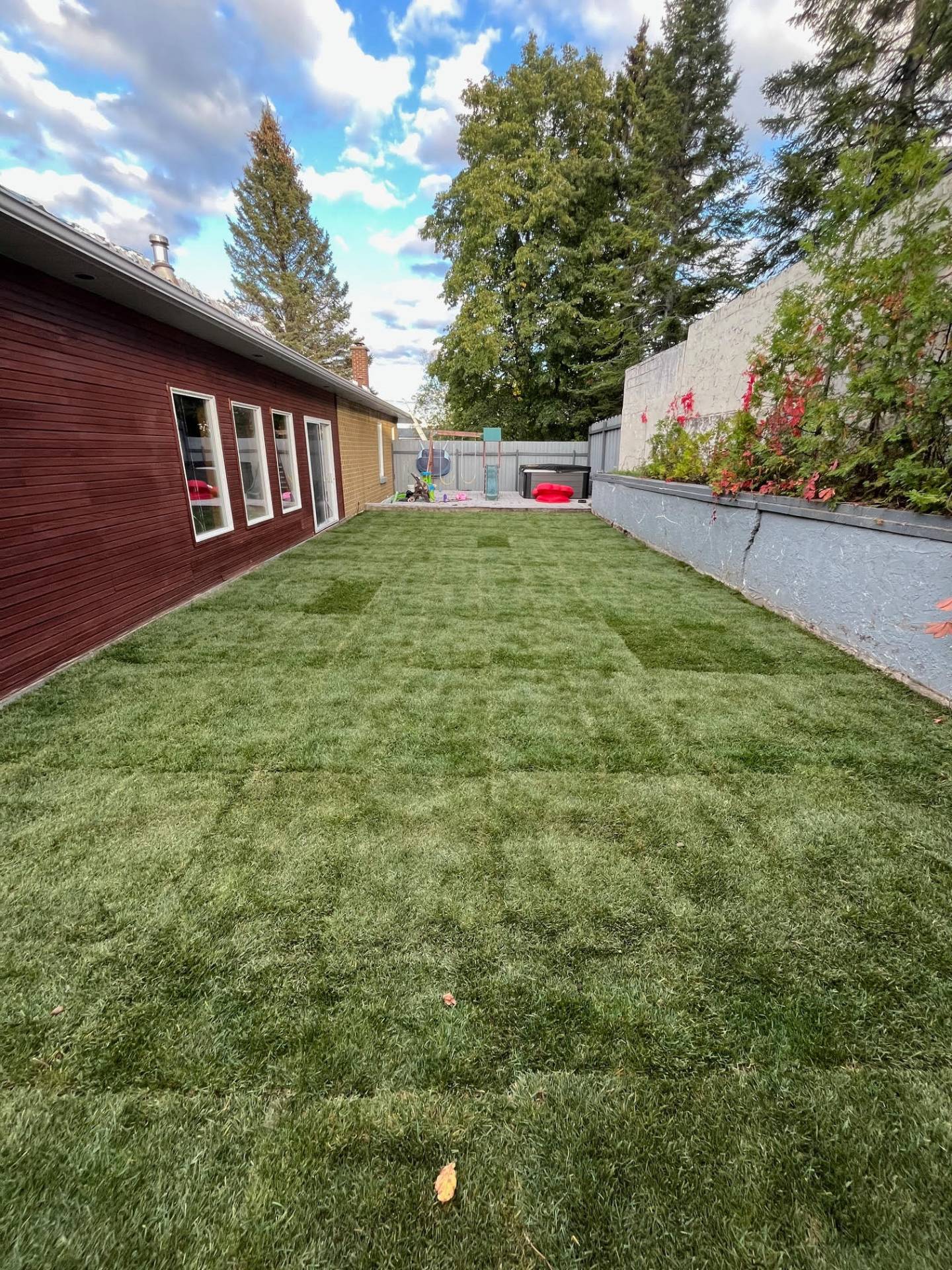 Backyard