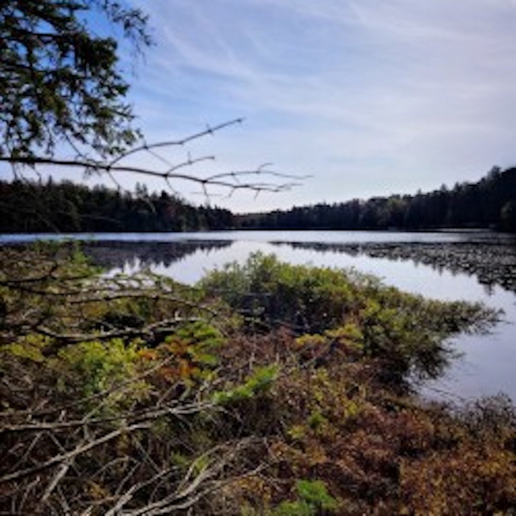 Bord de l'eau