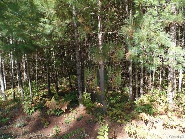Land/Lot