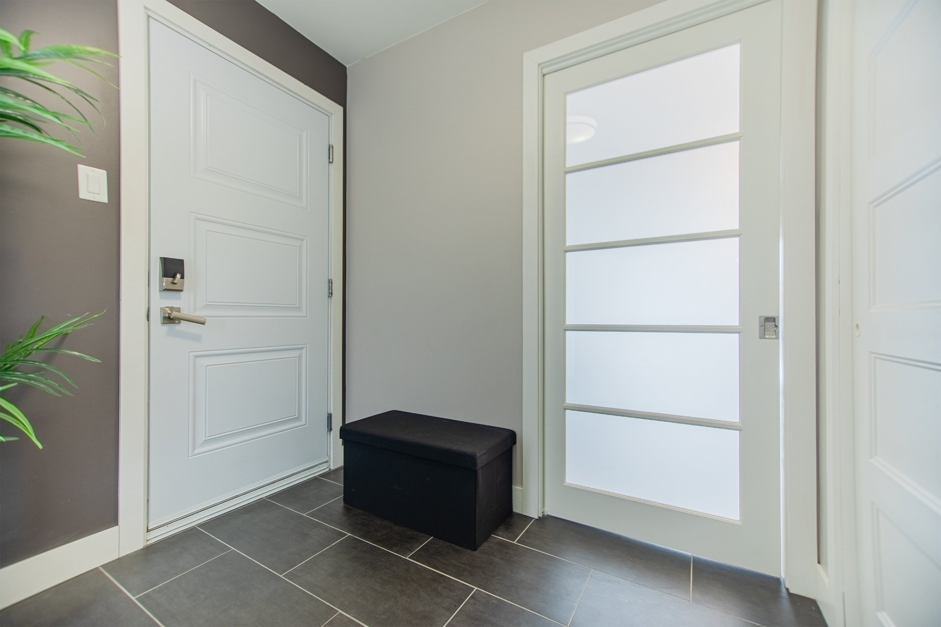 Hall d'entrée/Vestibule