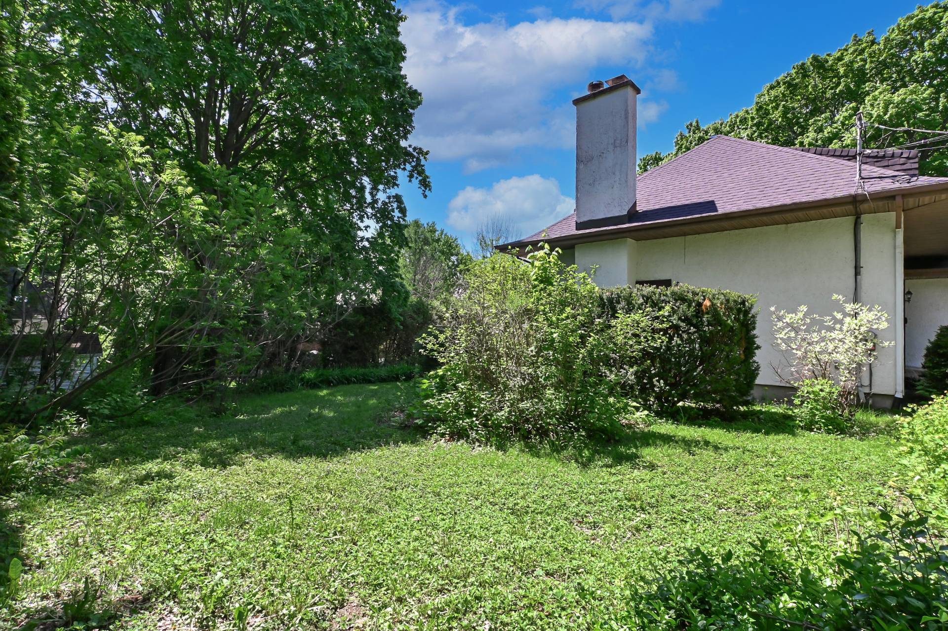 Backyard