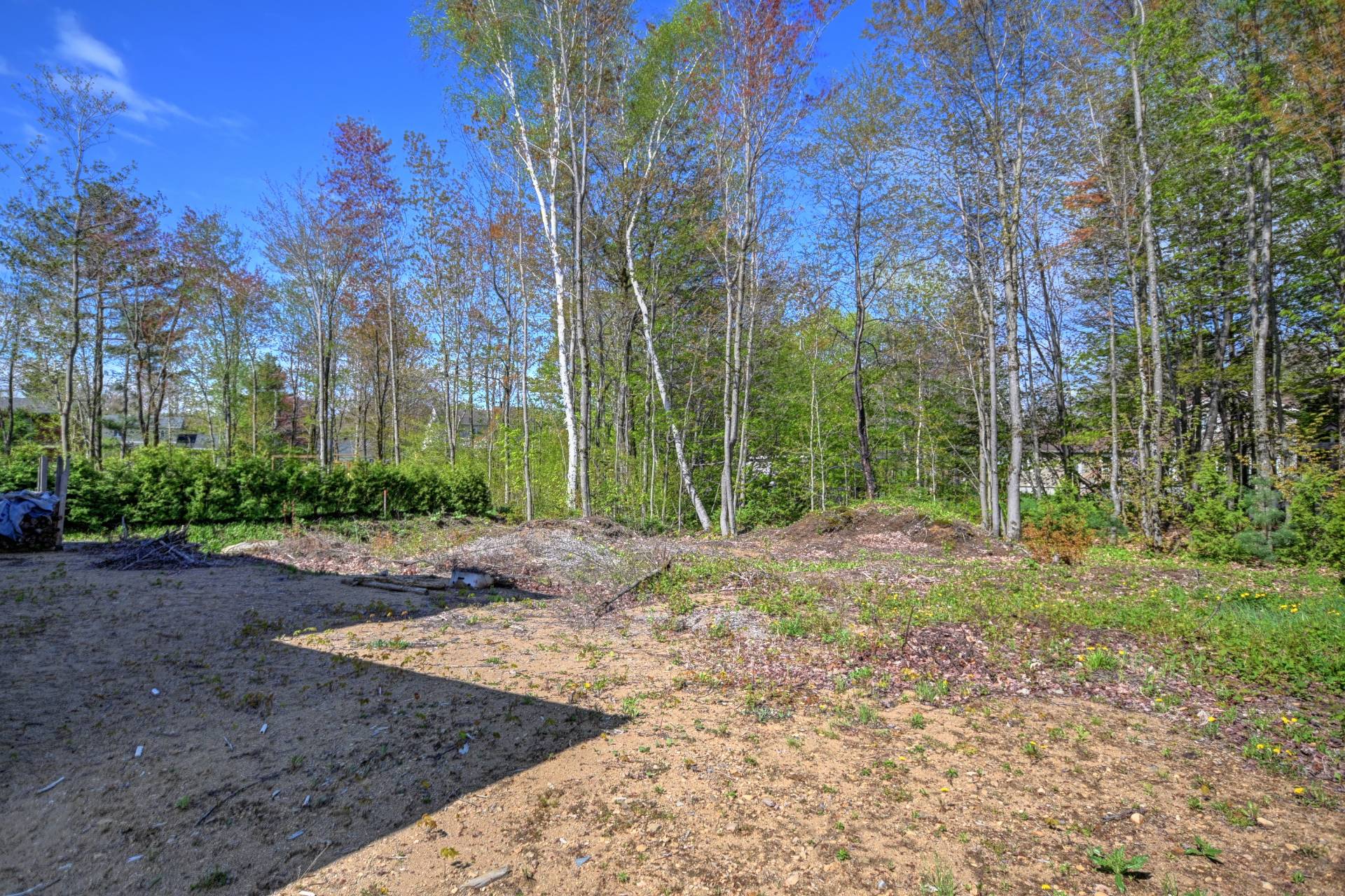 Backyard