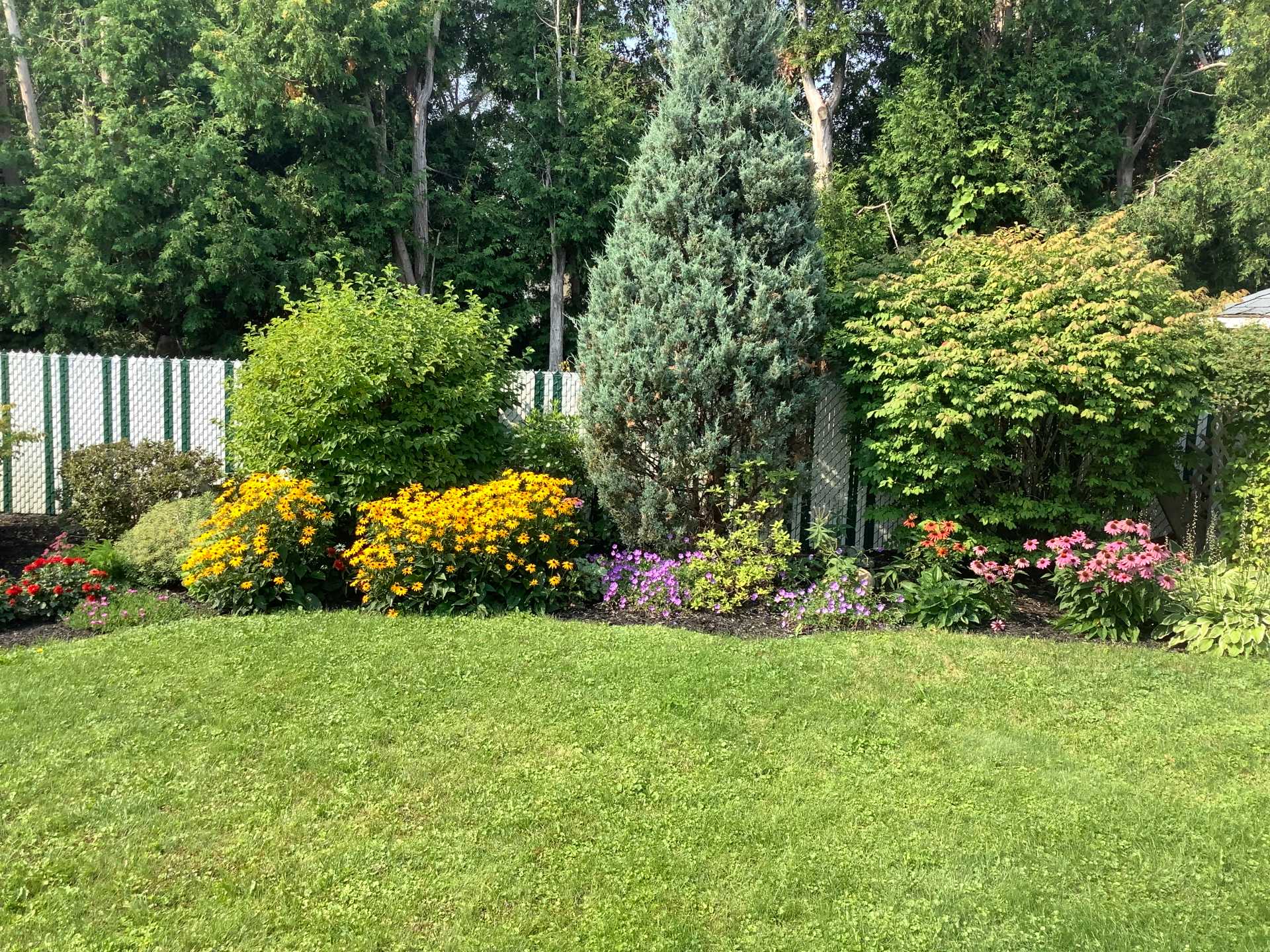cour entouré de belles fleurs