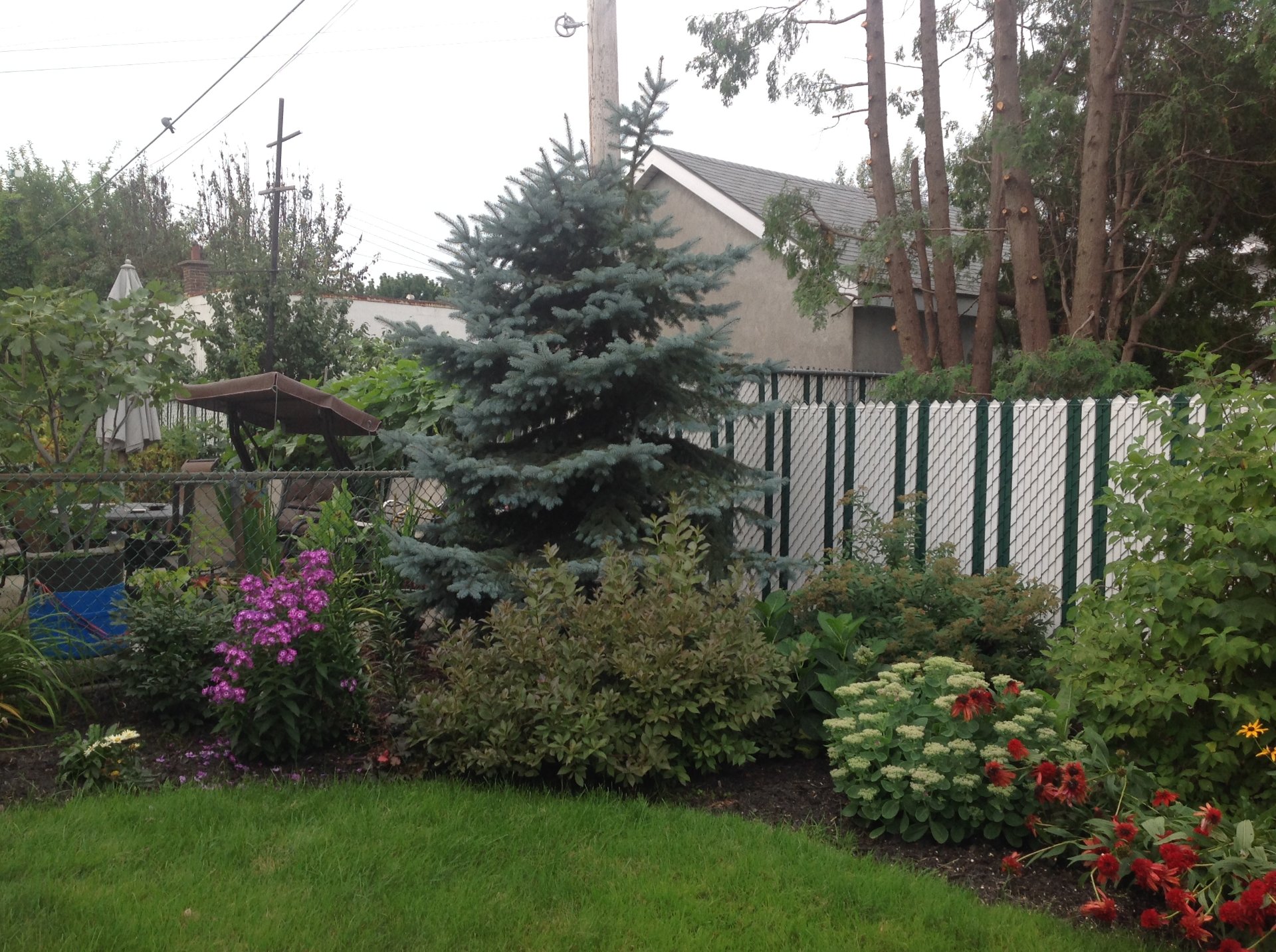 cour avec belle intimité