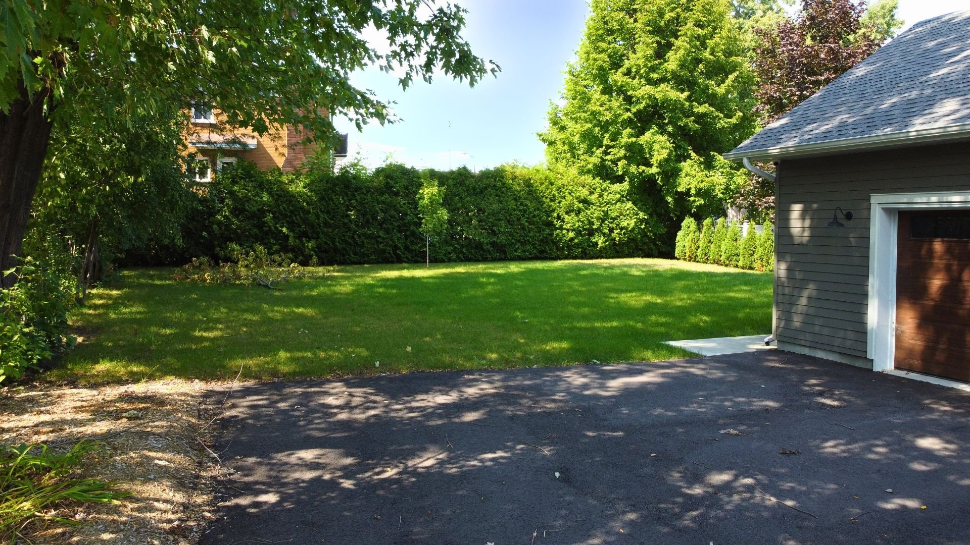 Backyard