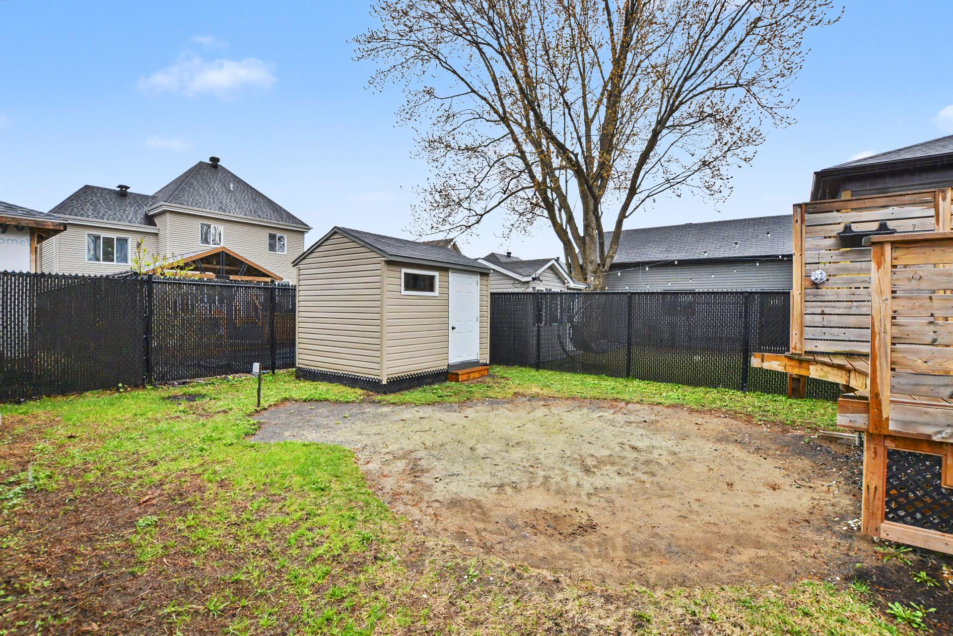 Backyard