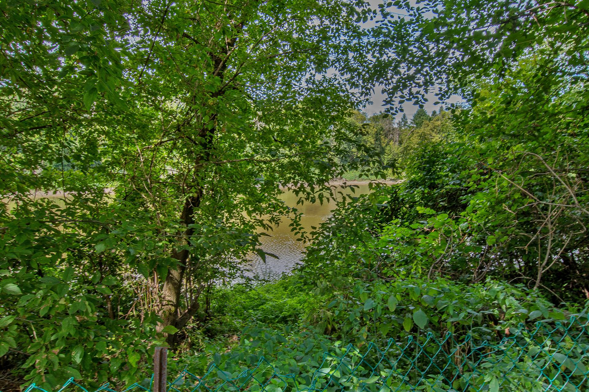 Vue sur l'eau