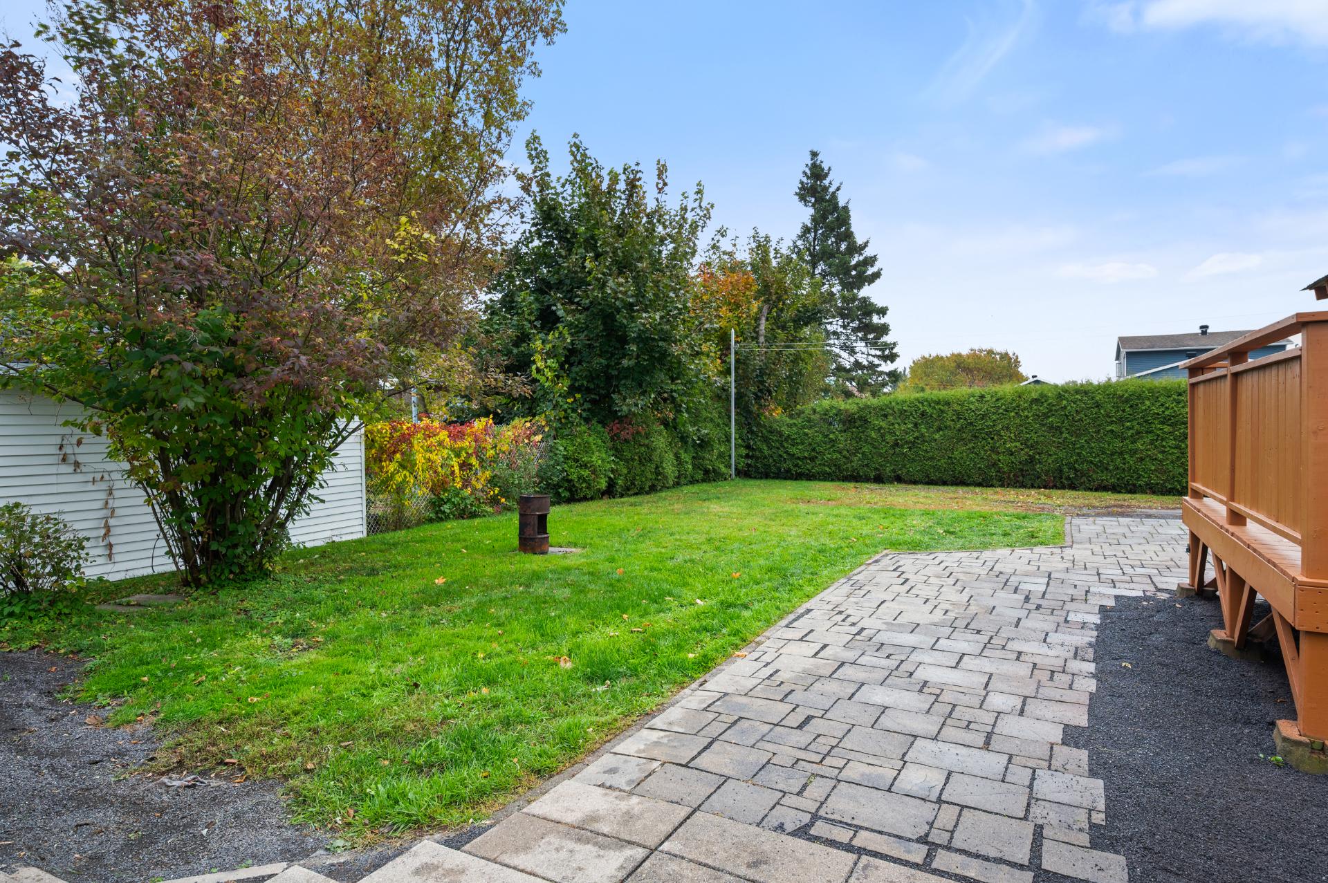 Backyard