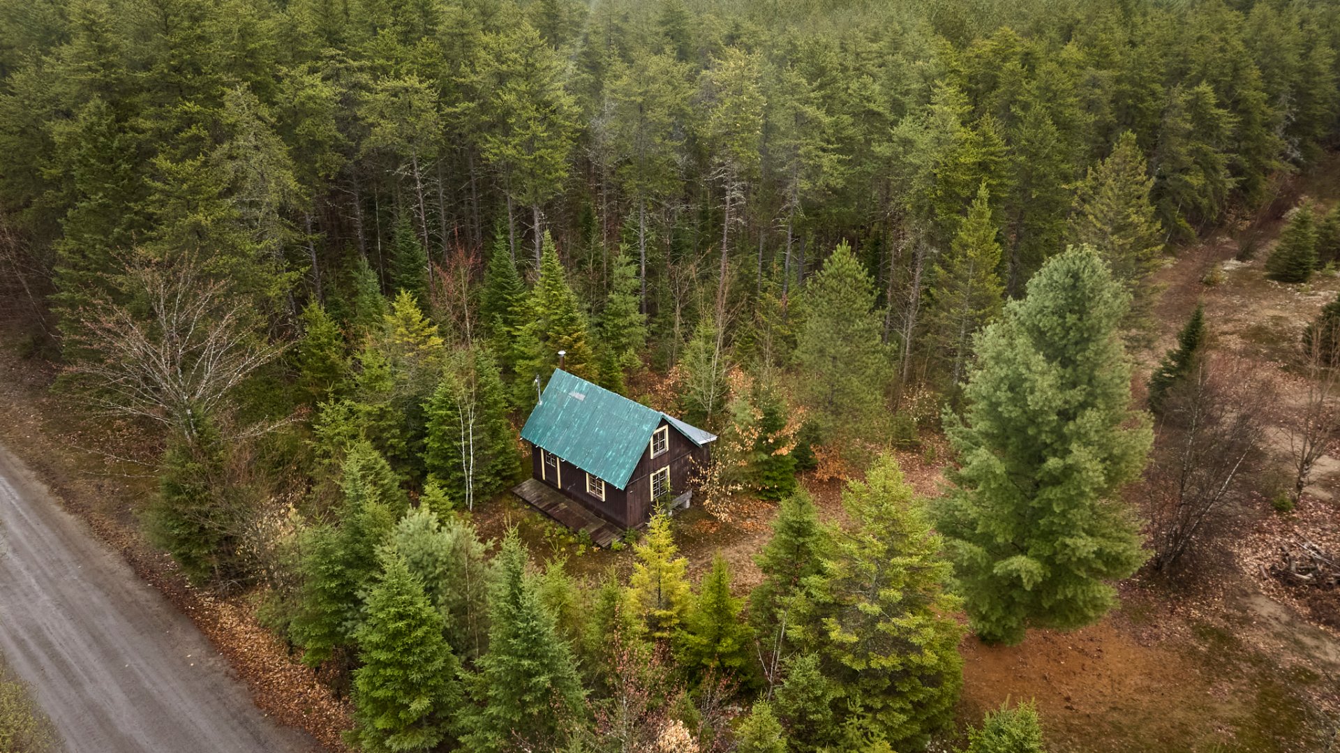 Aerial photo