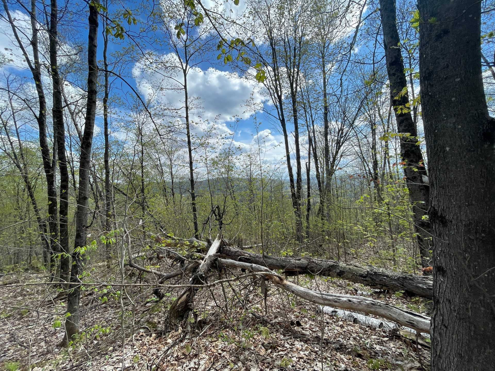 Terre/Terrain