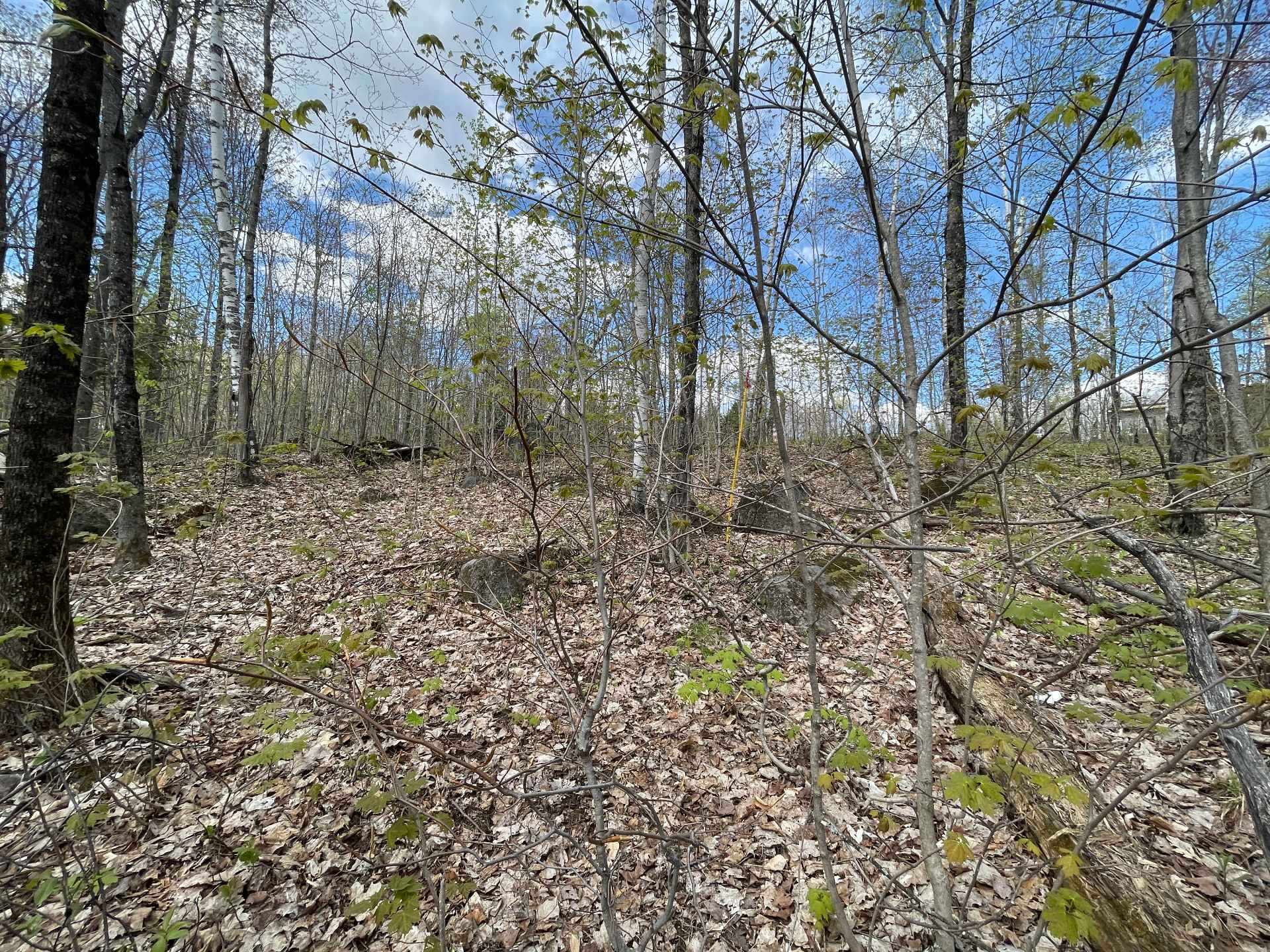 Terre/Terrain