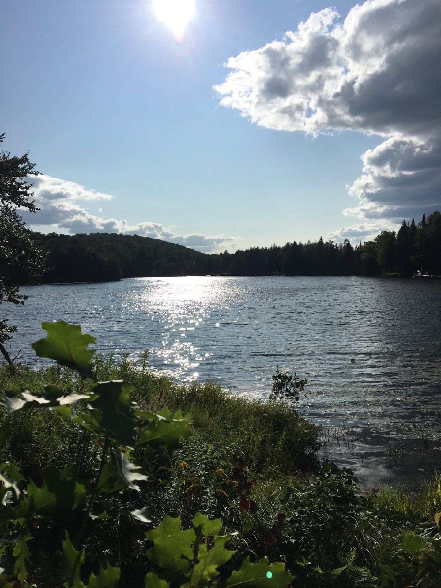 Accès au plan d'eau