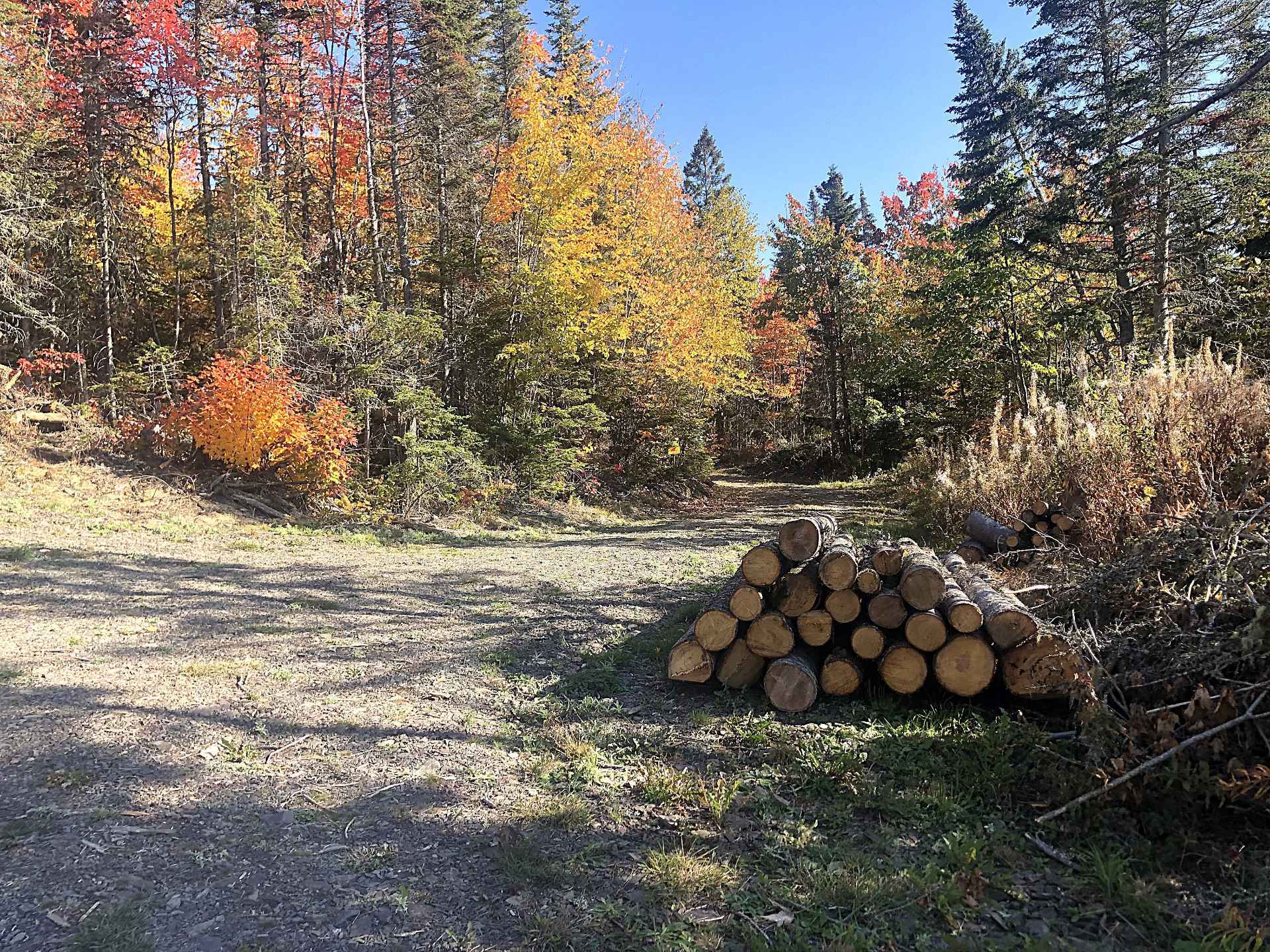 Terre à bois