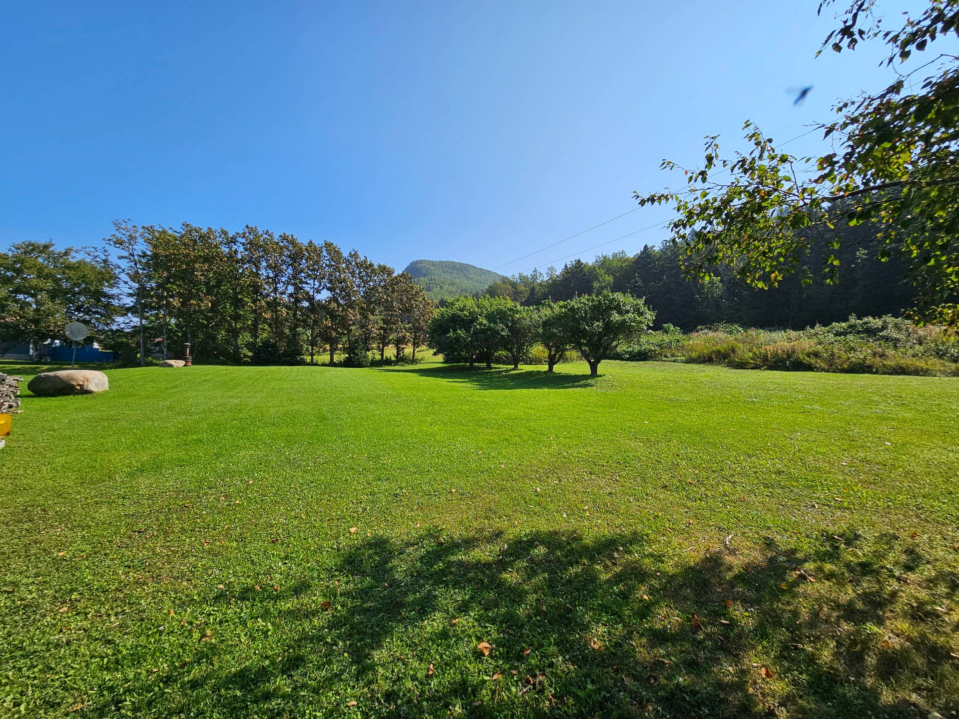 Land/Lot