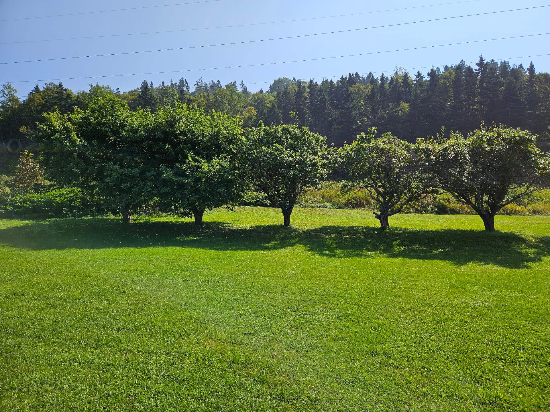Land/Lot