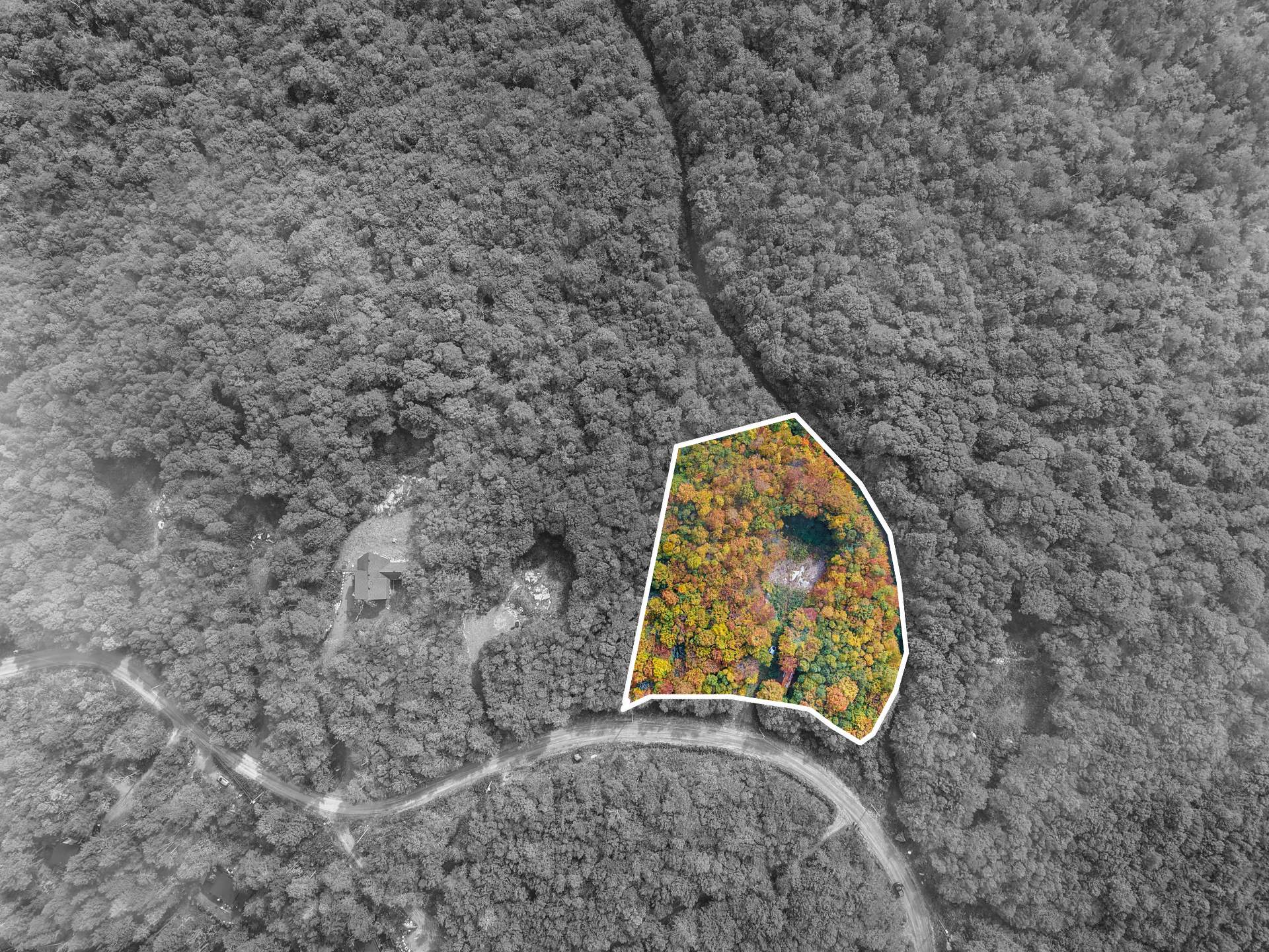 Terre/Terrain