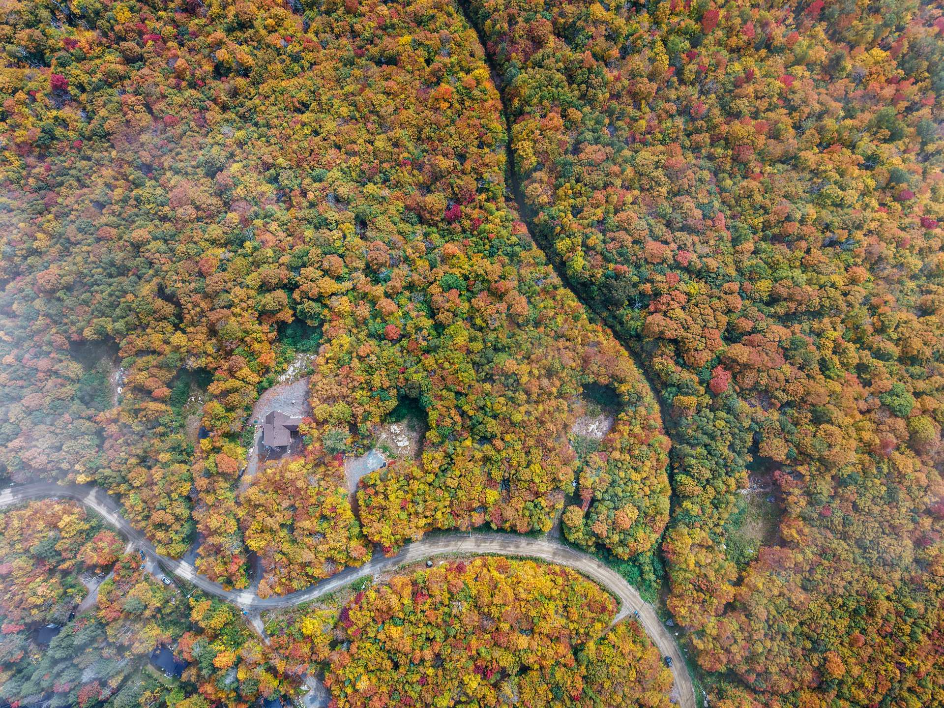 Terre/Terrain