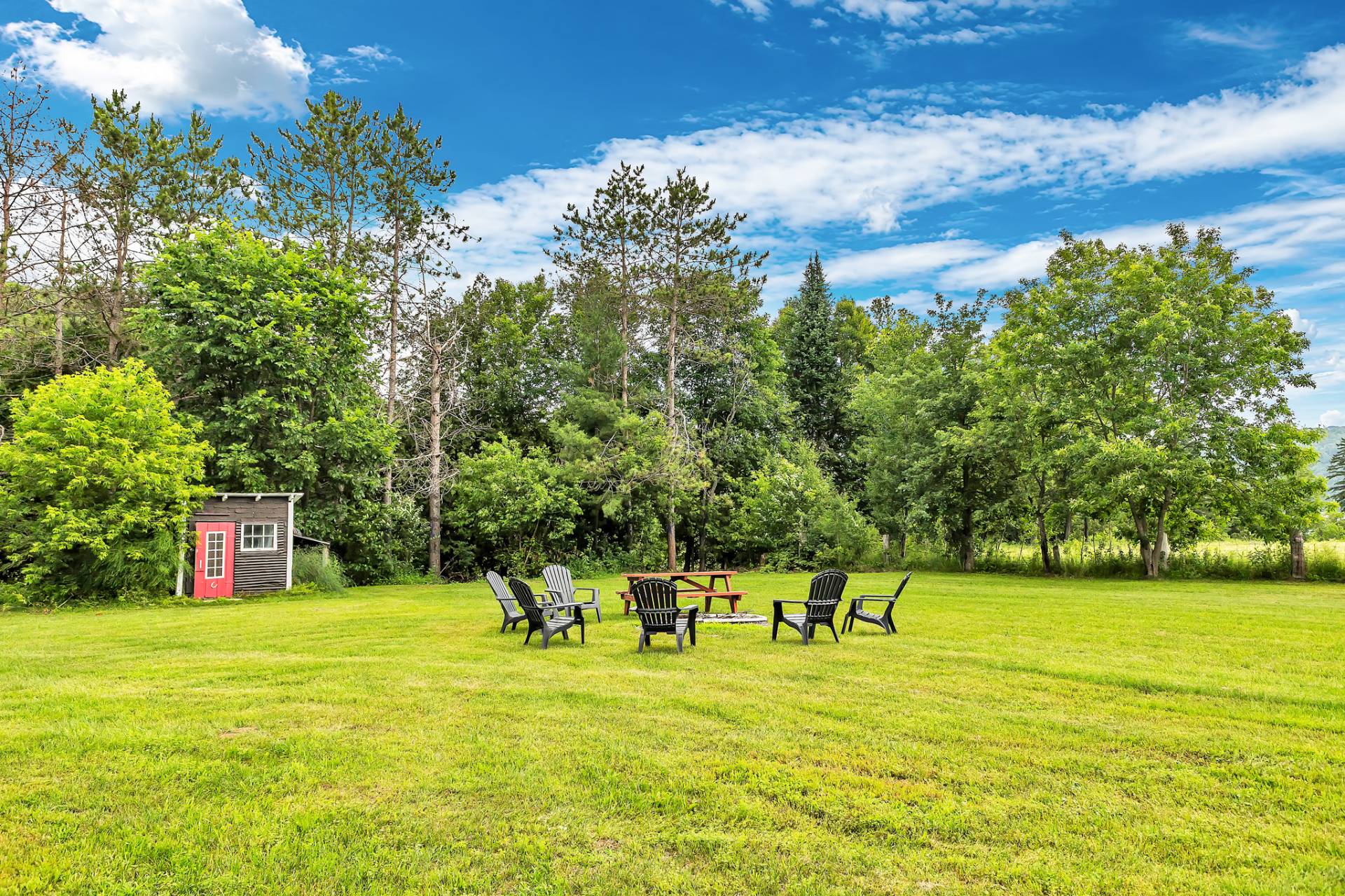 Backyard