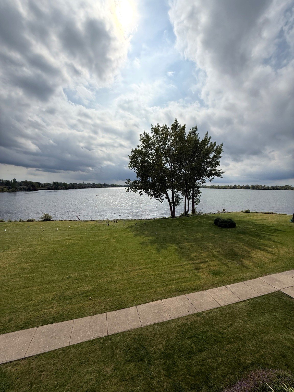 Water view