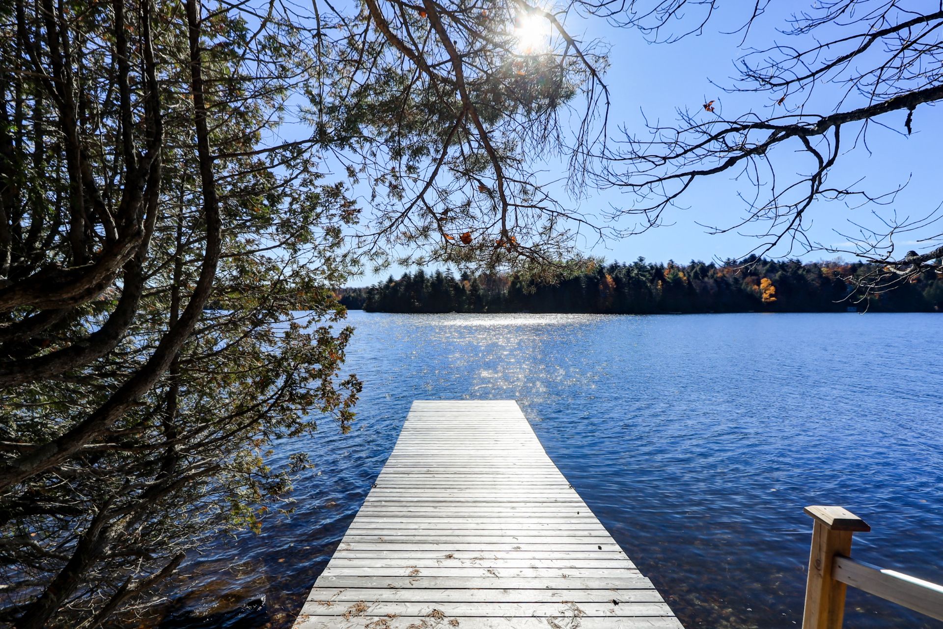 Waterfront