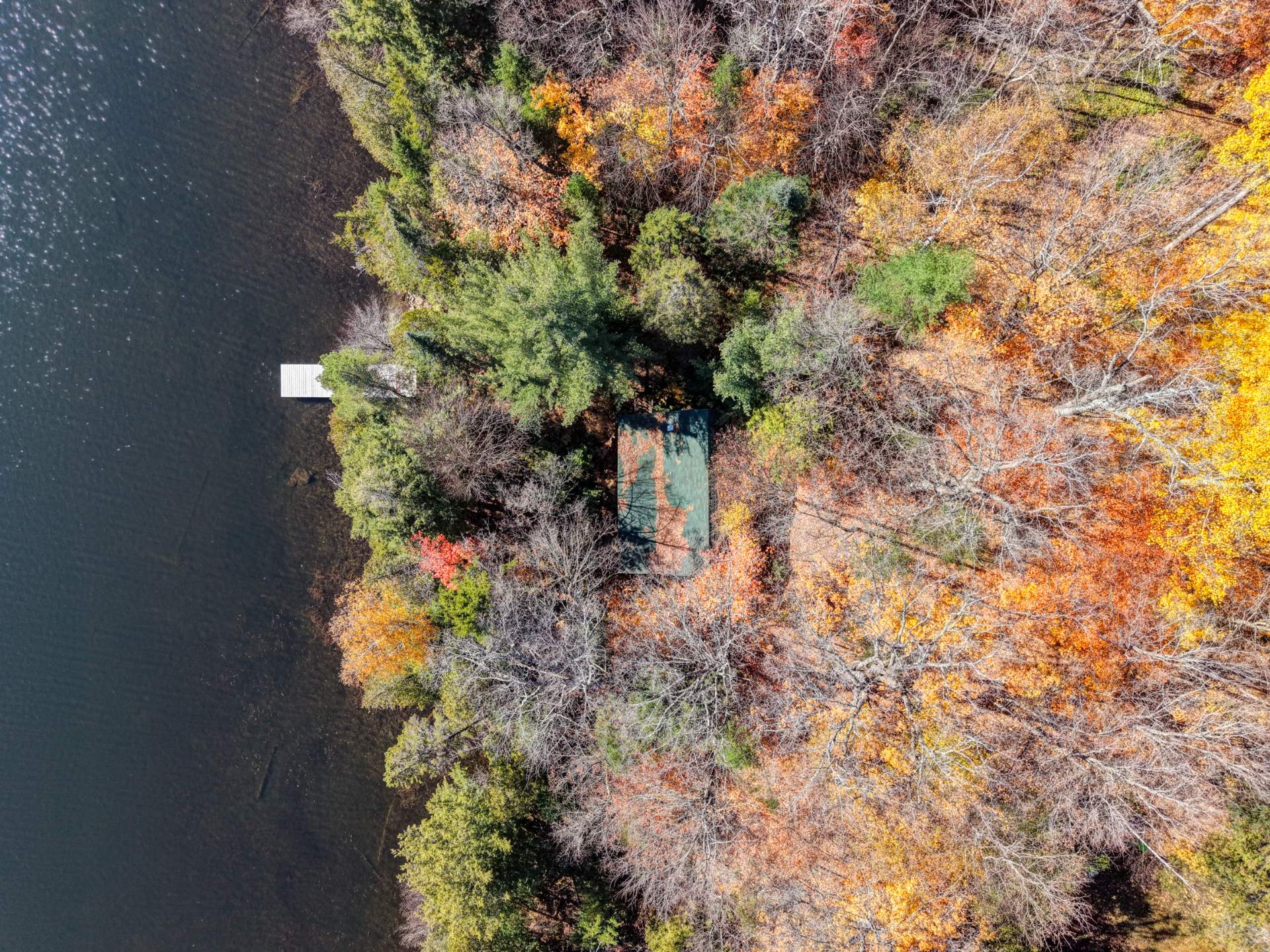 Aerial photo