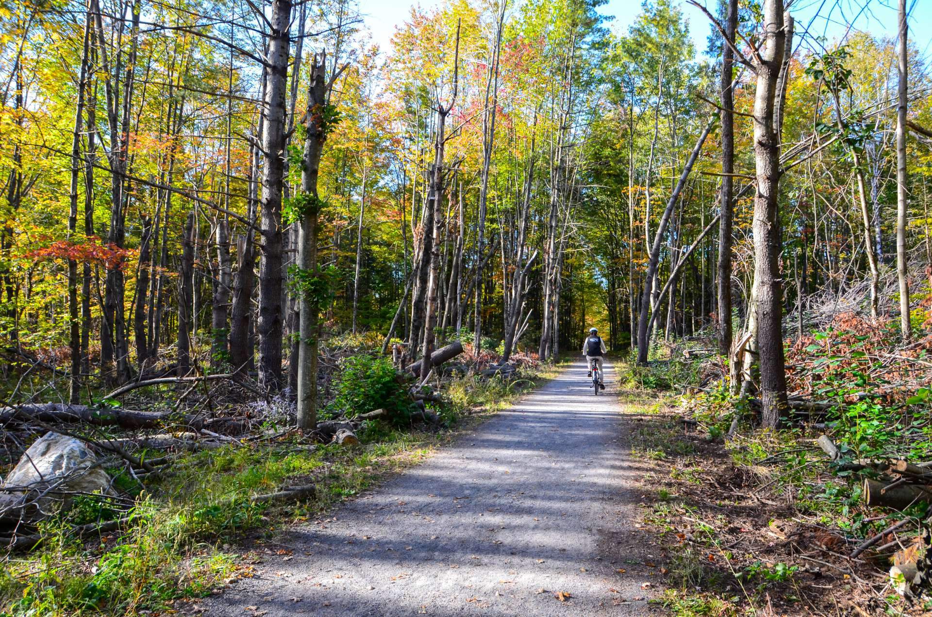 Lac Jérome, piste cyclabe