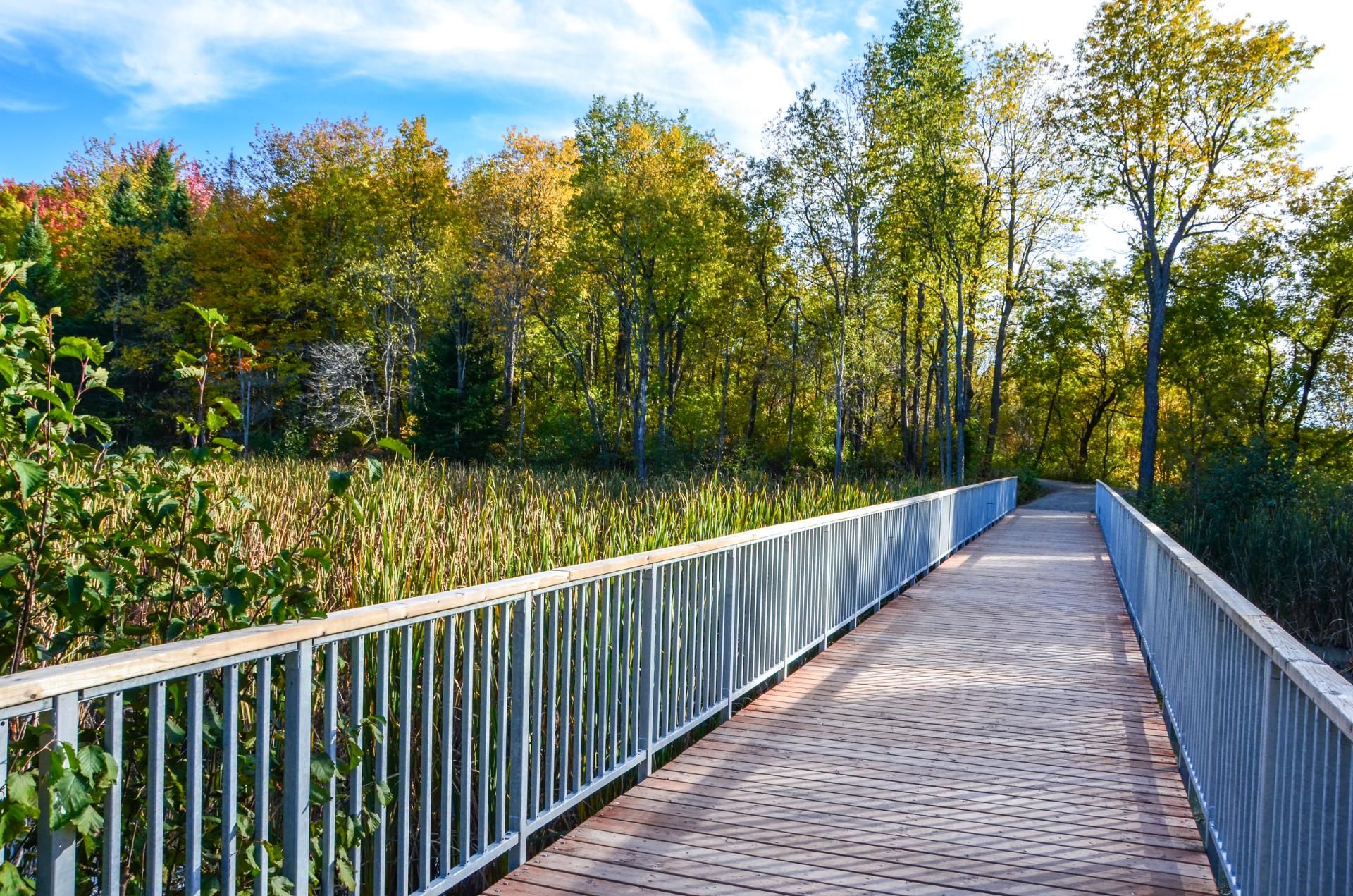 Lac Jérome, piste cyclabe