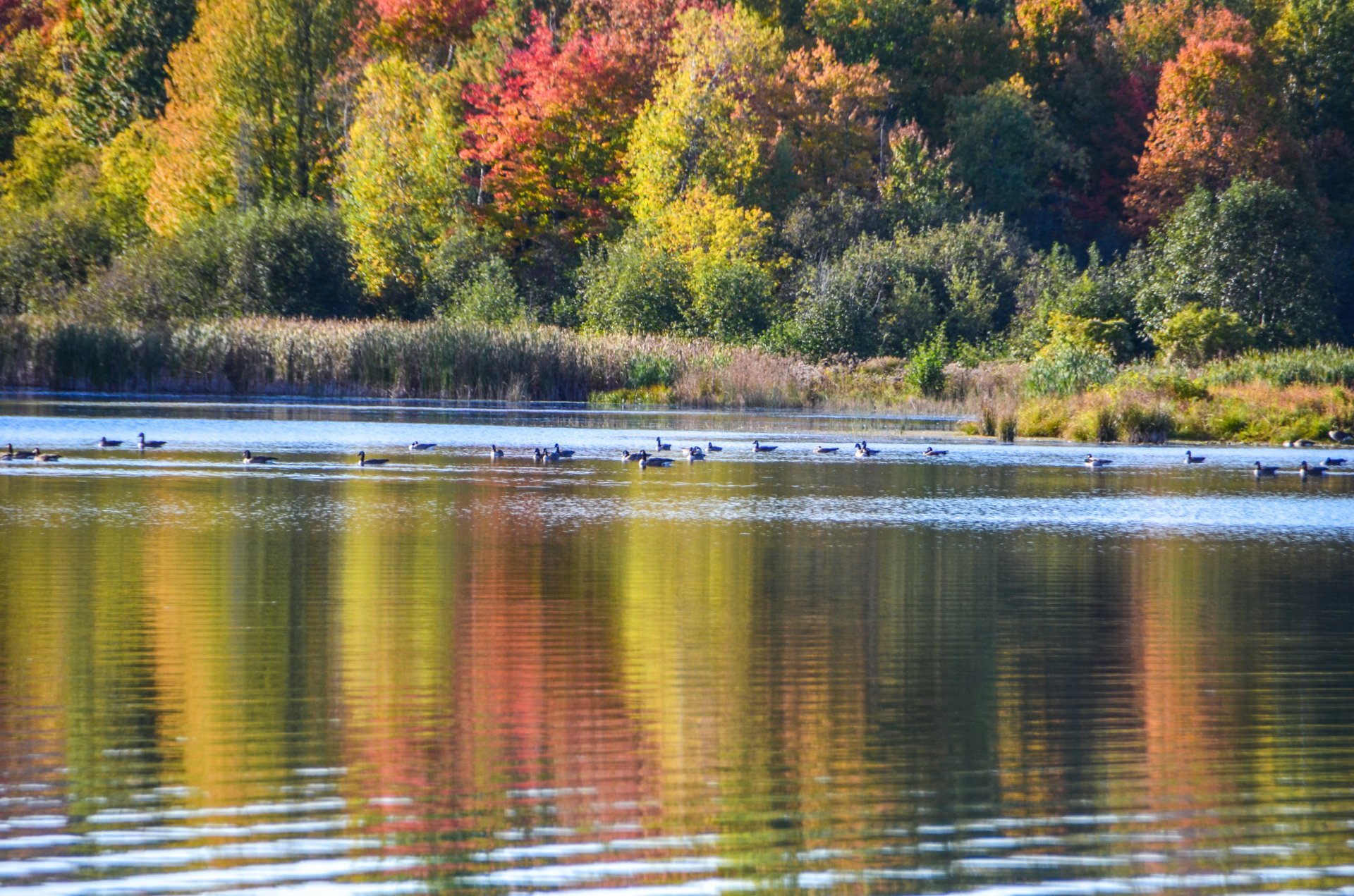 Lac Jérome, piste cyclabe